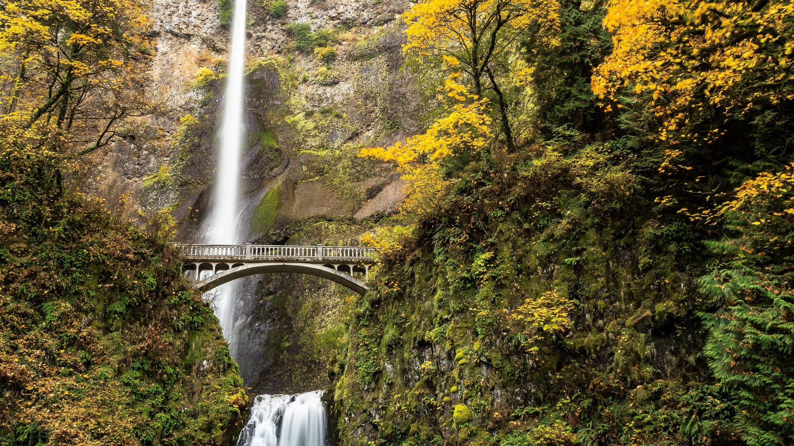 Multnomah Falls in Autumn with Historic Bridge HD Wallpaper