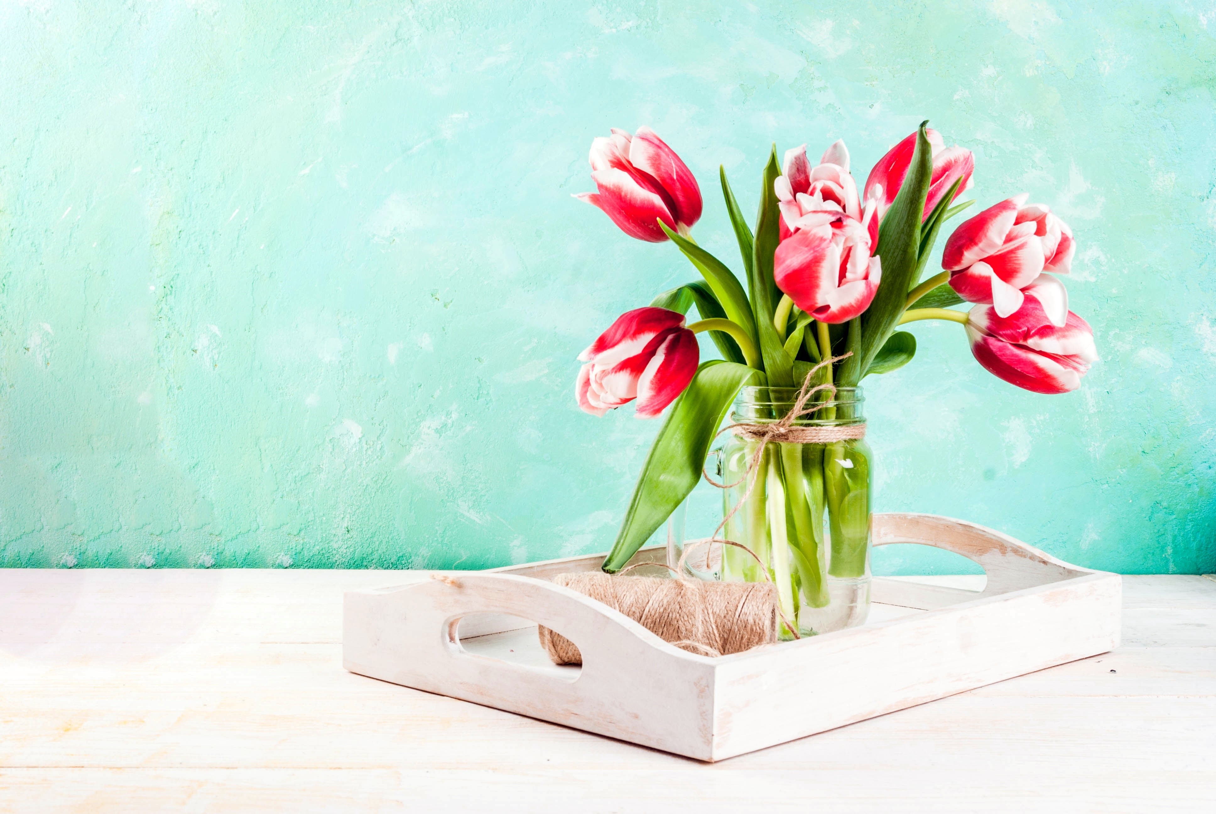 Bouquet of red and white tulips in a vase HD Wallpaper