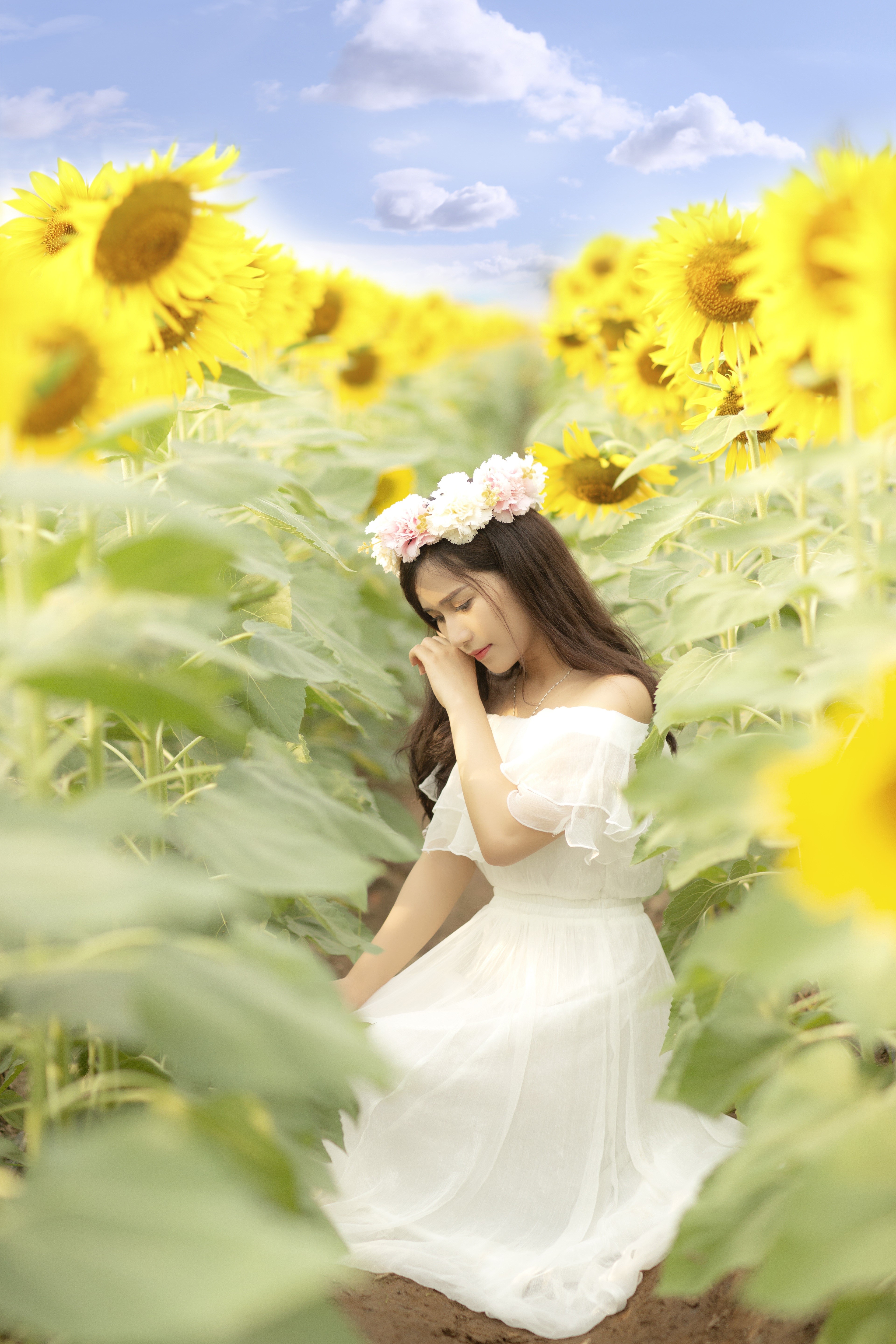 Asian woman in white dress with sunflower wreath HD Phone Wallpaper