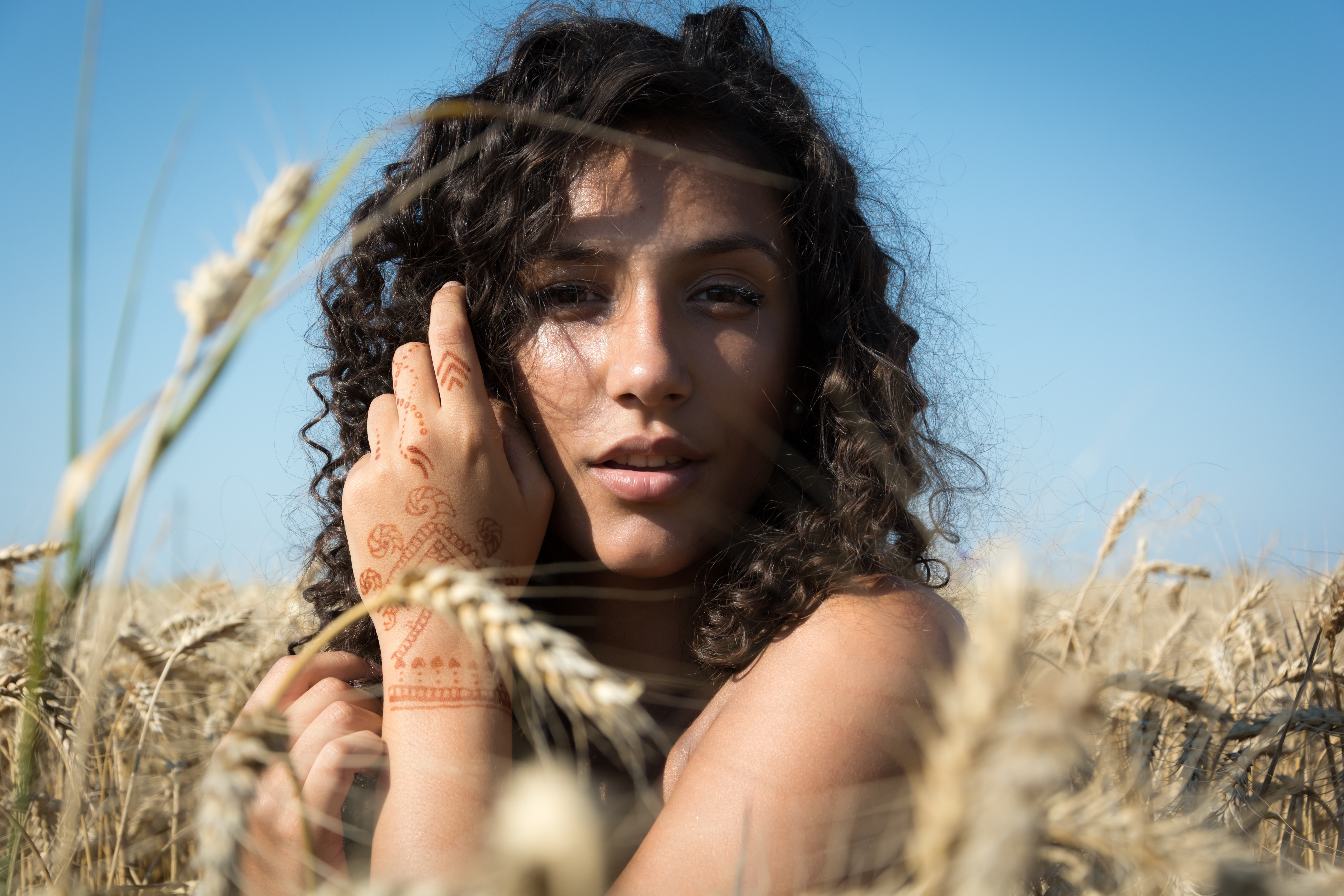 Brunette girl with curly hair in a wheat field HD Wallpaper