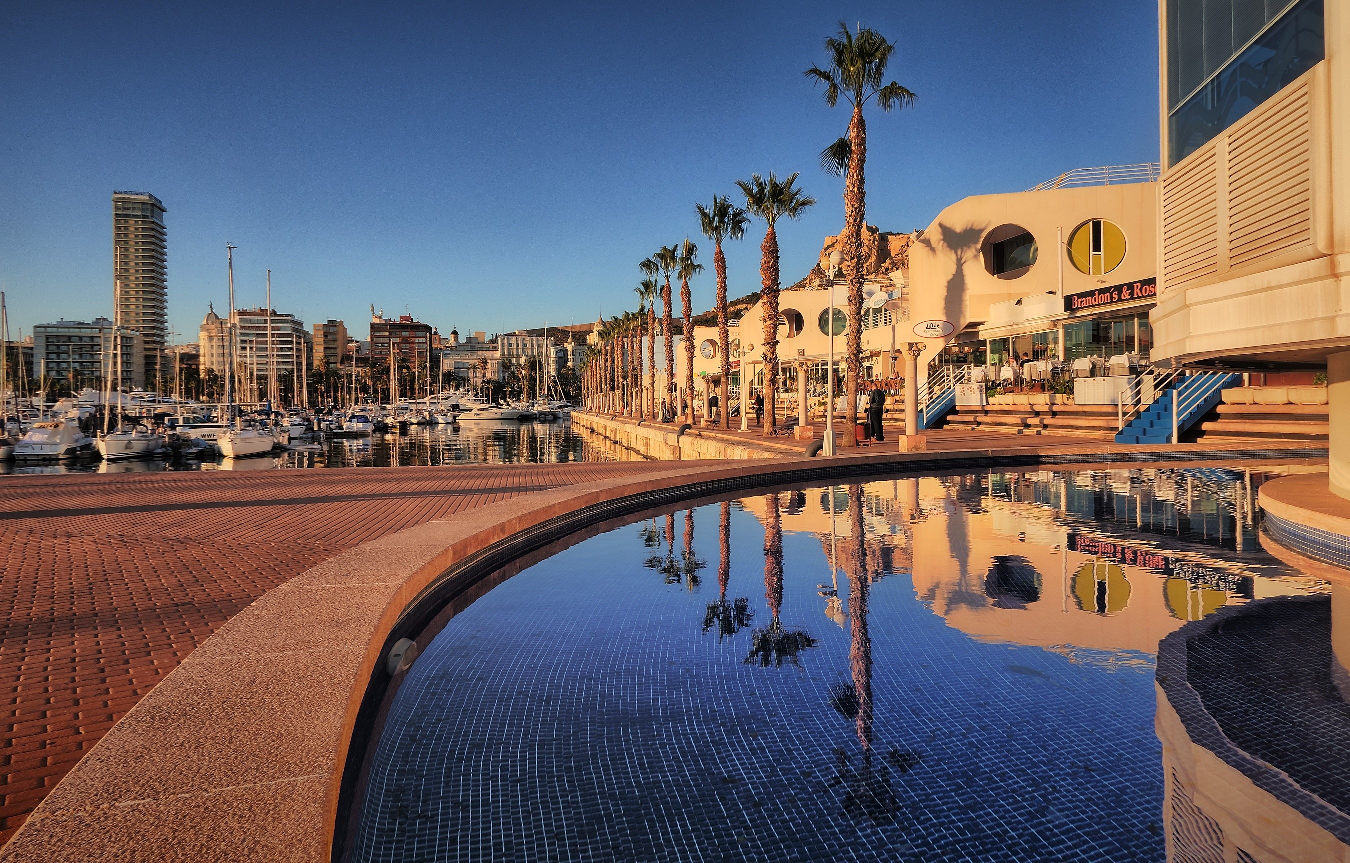 Alicante marina with palm trees and buildings HD Wallpaper