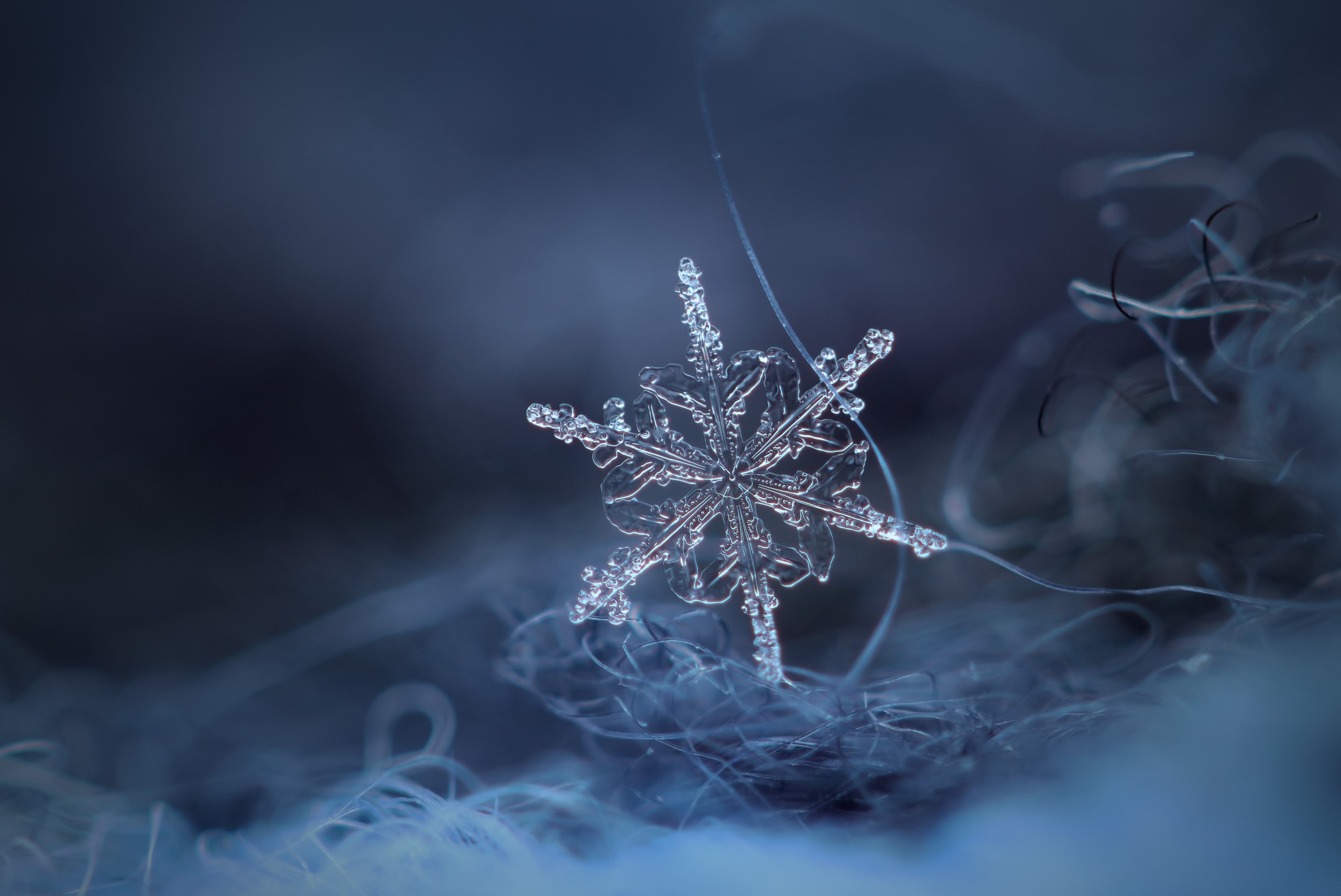 Close-up of a snowflake on a fuzzy surface HD Wallpaper