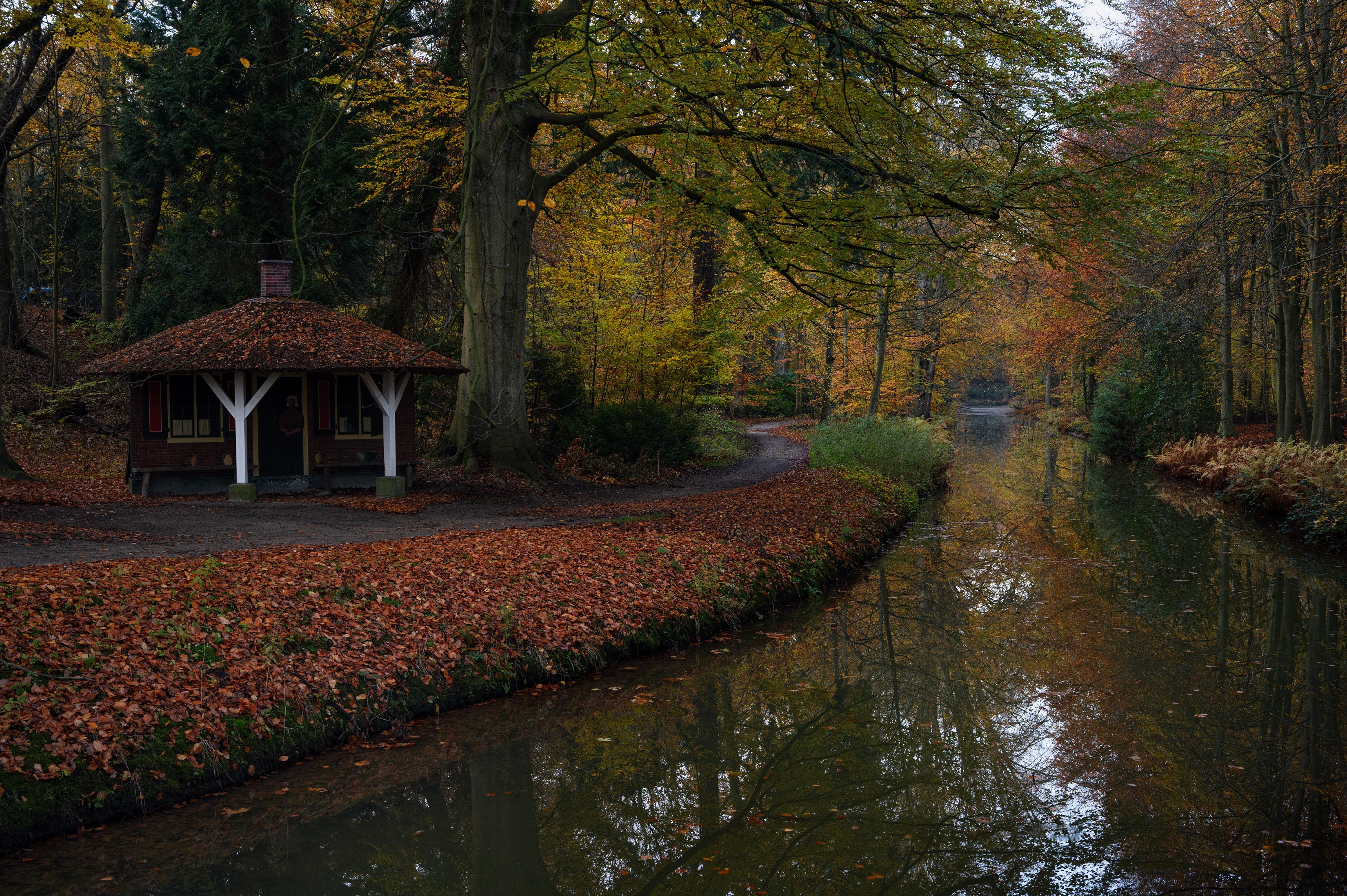 Autumn canal with a small pavilion in Tuindorp, Netherlands HD Wallpaper