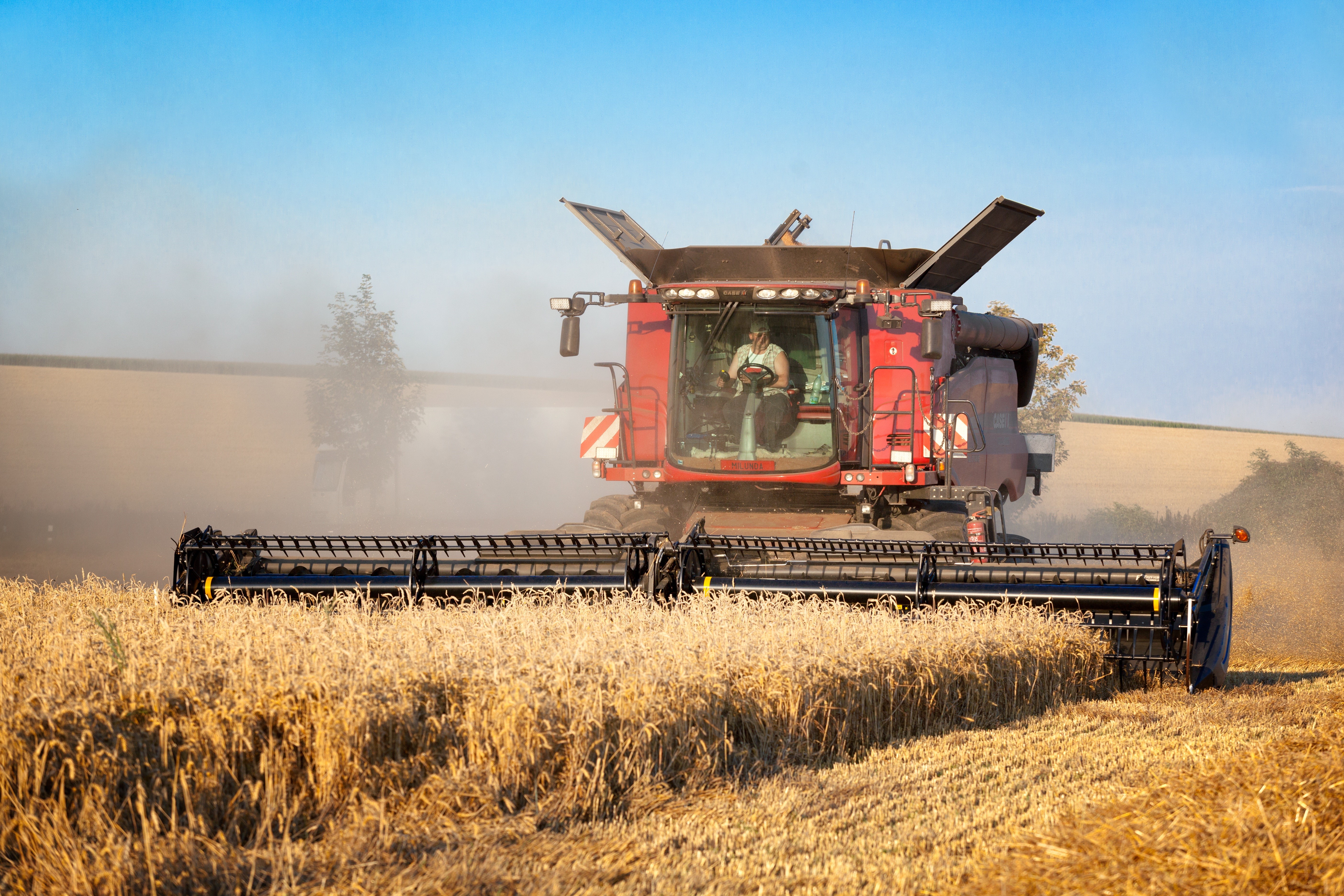 Combine harvester in a wheat field HD Wallpaper