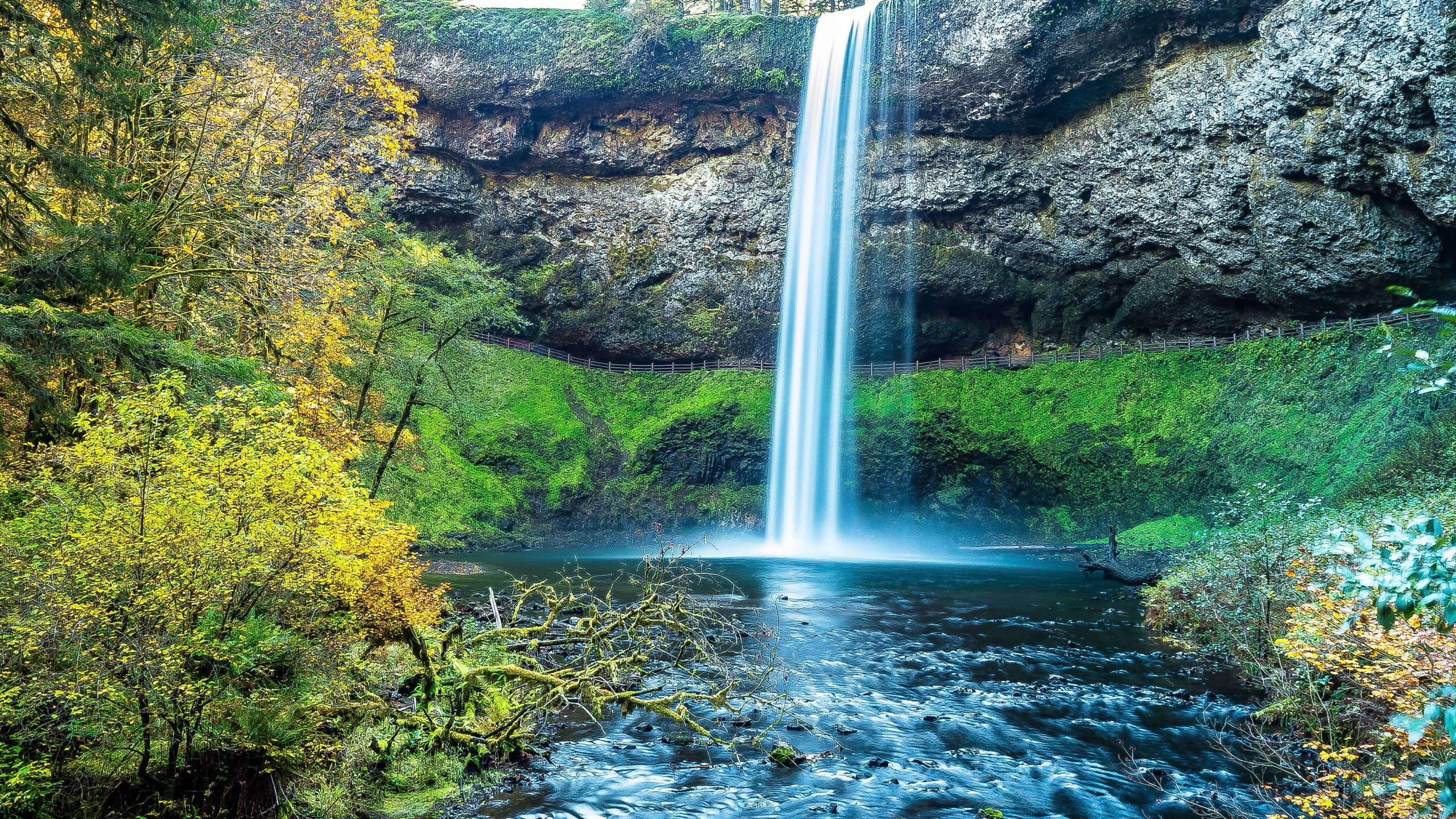Waterfall cascading into a river in a forest HD Wallpaper