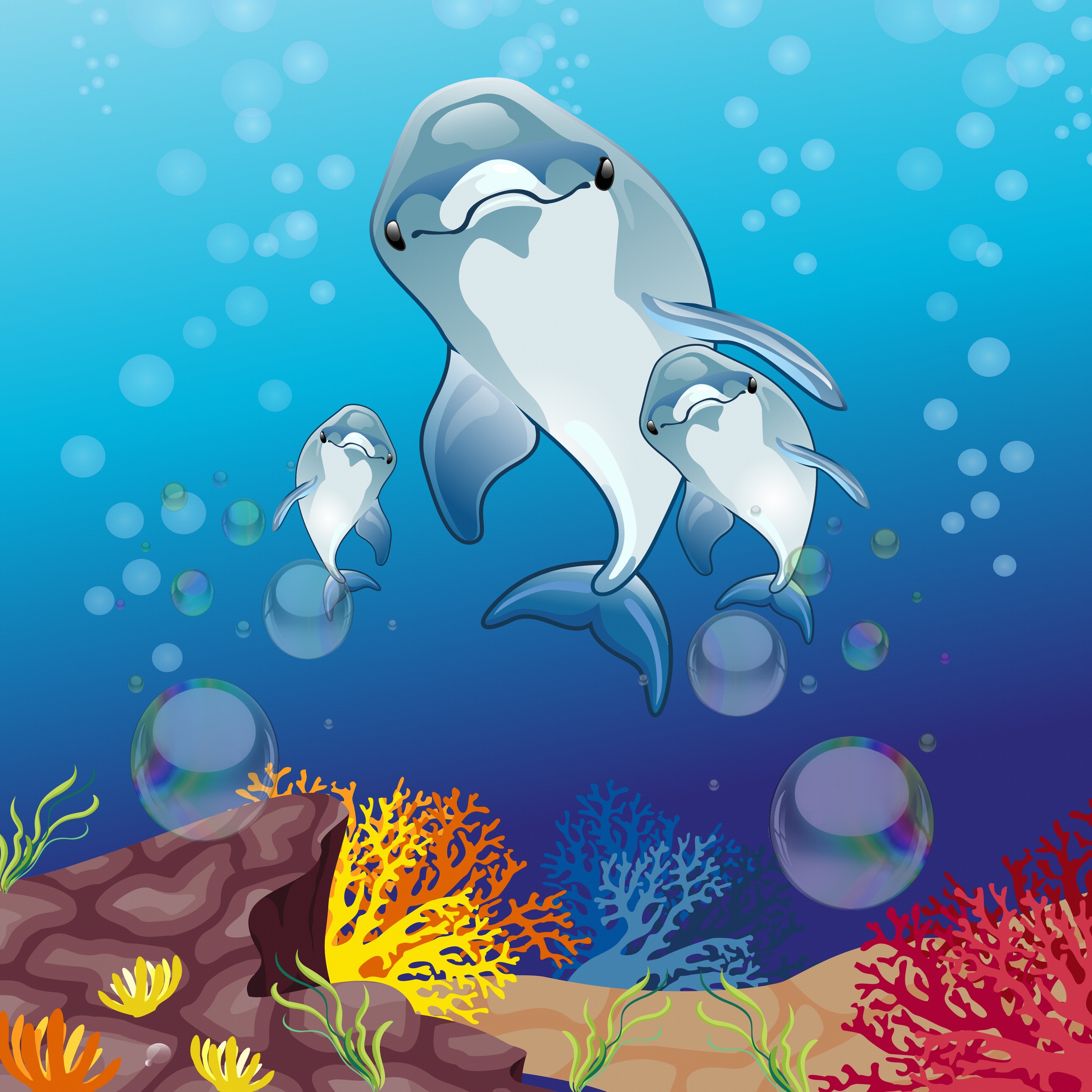 Dolphins swimming in the ocean with coral reefs HD Wallpaper