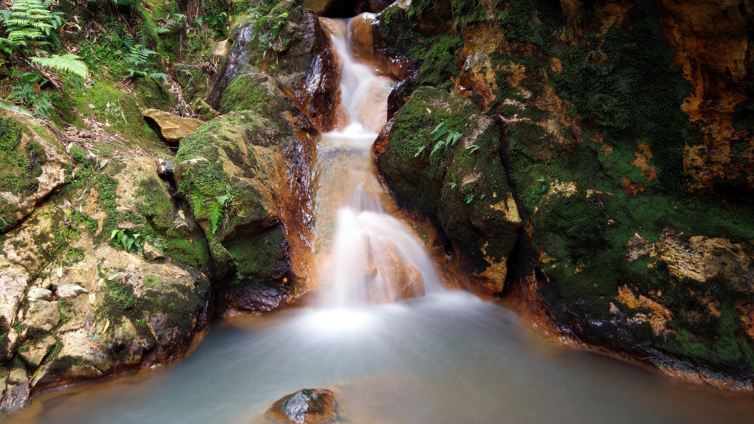 Waterfall cascading over mossy rocks in a forest HD Wallpaper