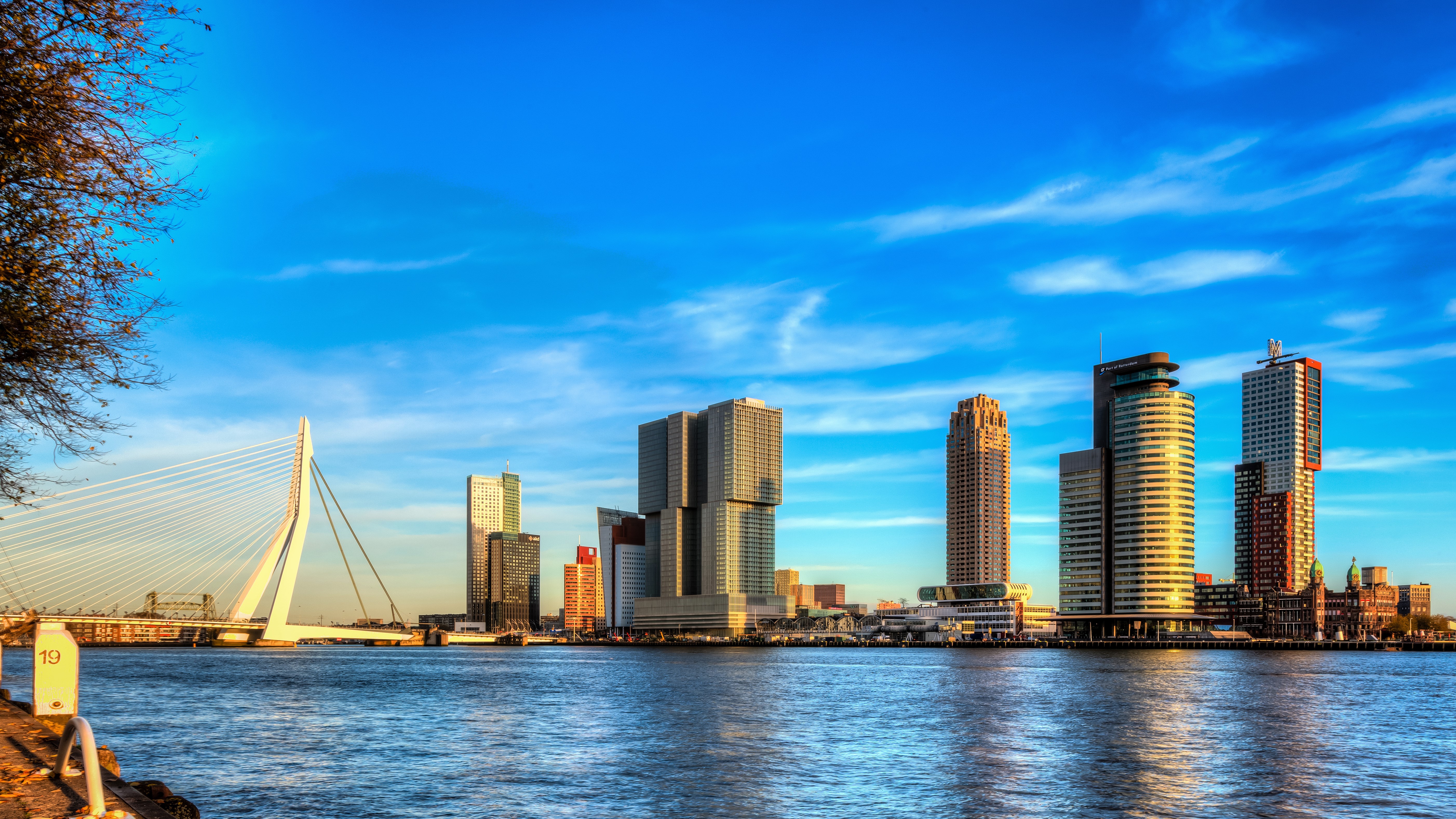 Rotterdam Netherlands Nieuwe Maas River Skyscrapers and Bridge HD Wallpaper