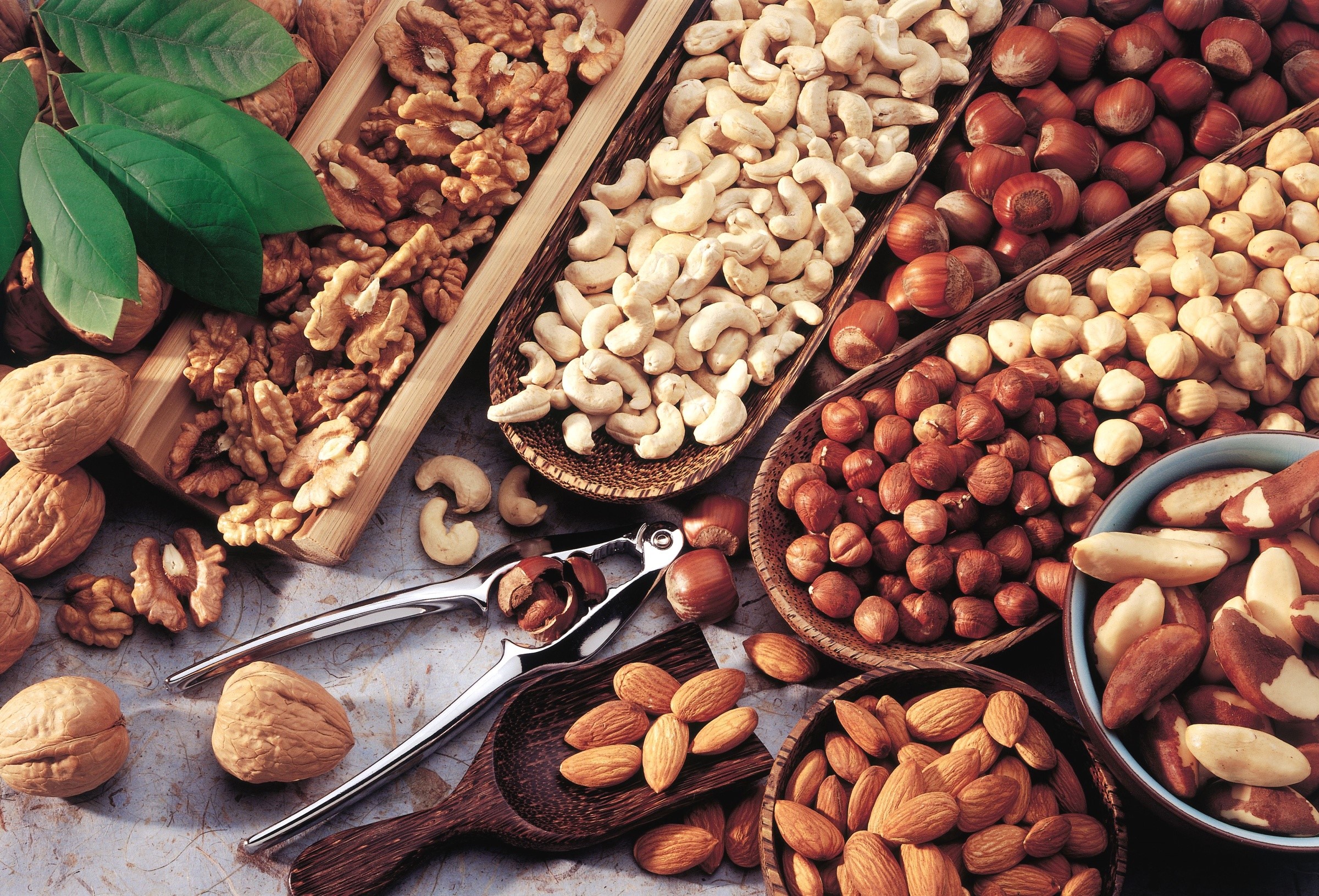 Assortment of nuts including walnuts, cashews, hazelnuts, almonds, and brazil nuts HD Wallpaper
