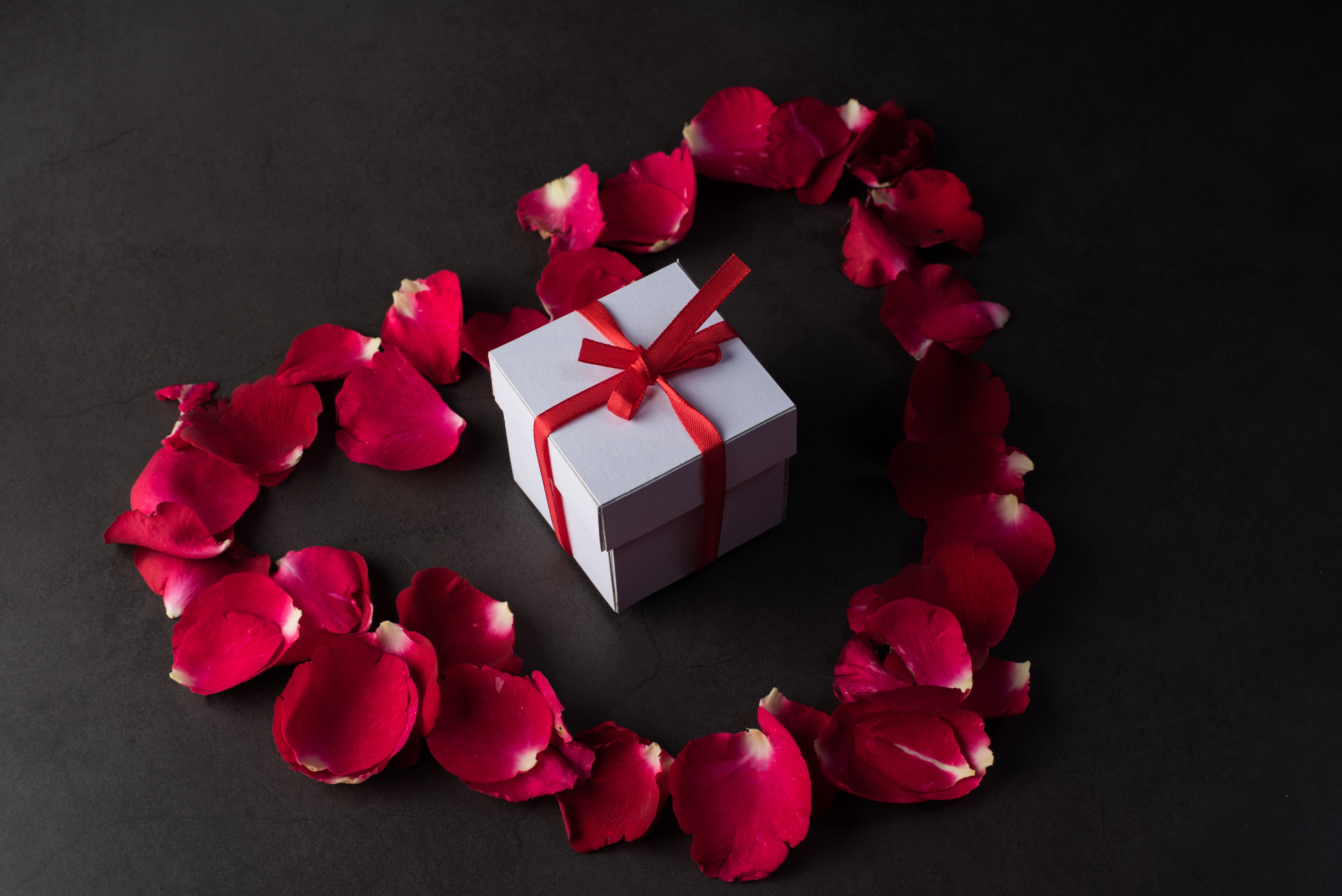 Gift box with rose petals on gray background HD Wallpaper