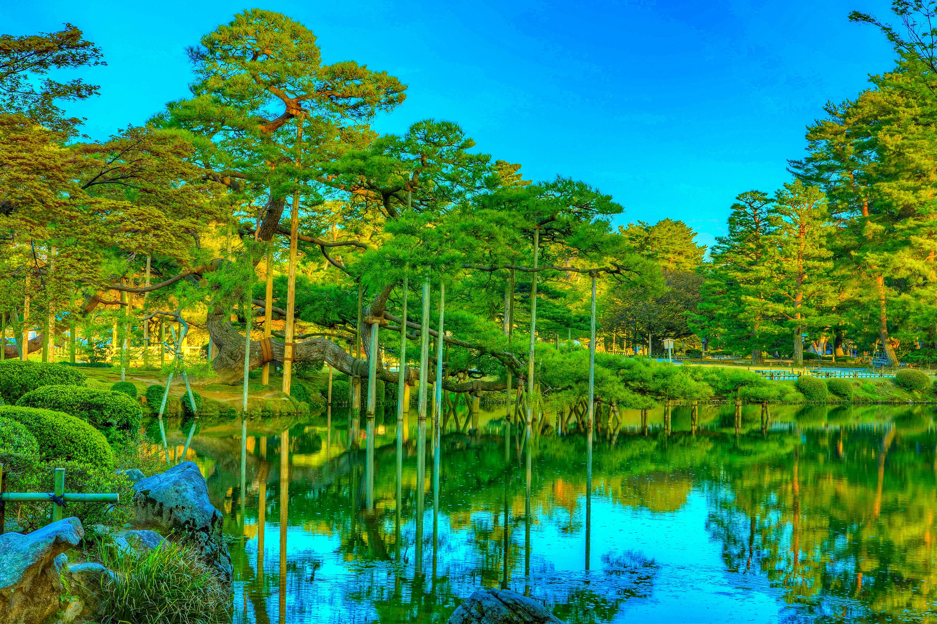 Kenrokuen Garden Pond with Pine Trees and Reflections, Japan HD Wallpaper