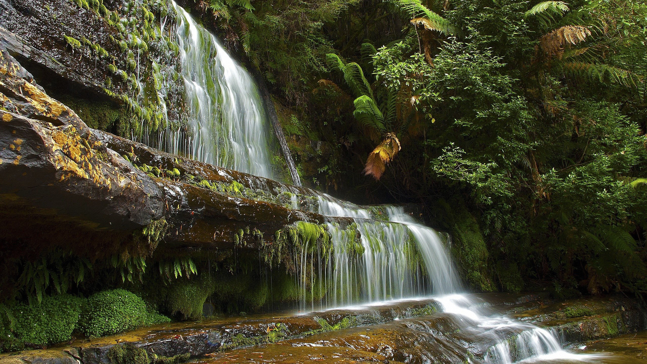Waterfall cascading over moss-covered rocks in a forest HD Wallpaper