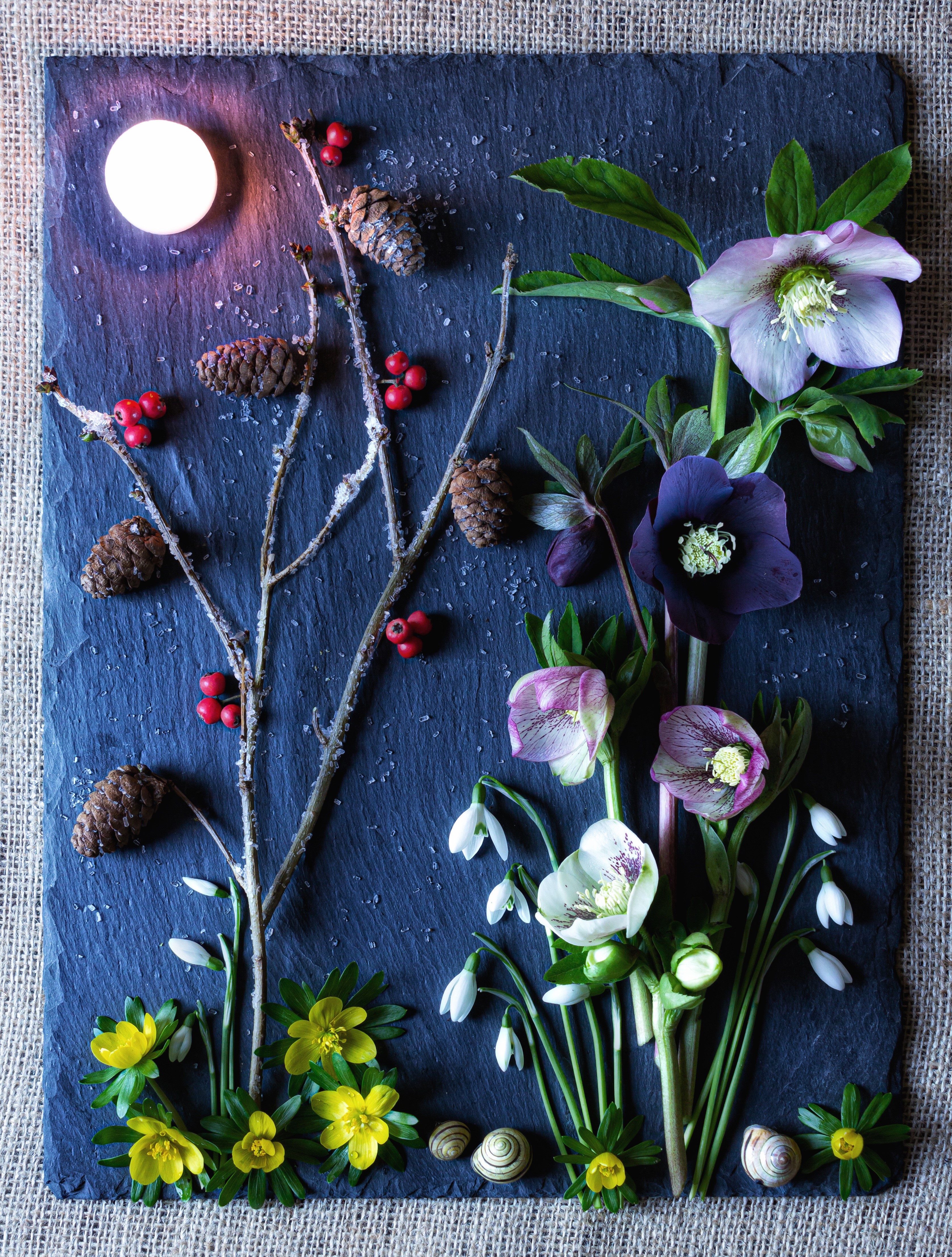 Winter floral arrangement with pine cones and berries HD Phone Wallpaper