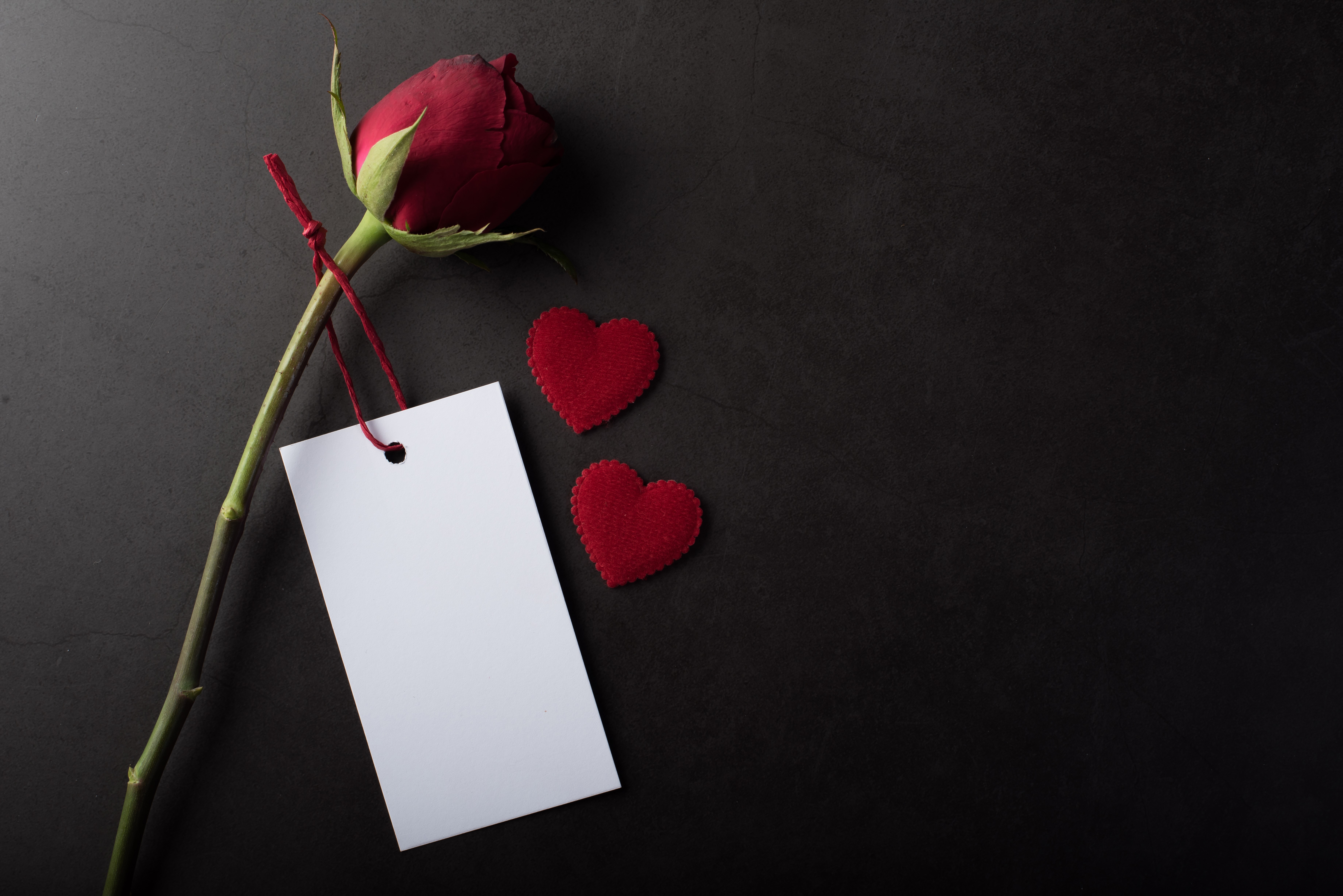 Red rose with tag and hearts on dark background HD Wallpaper