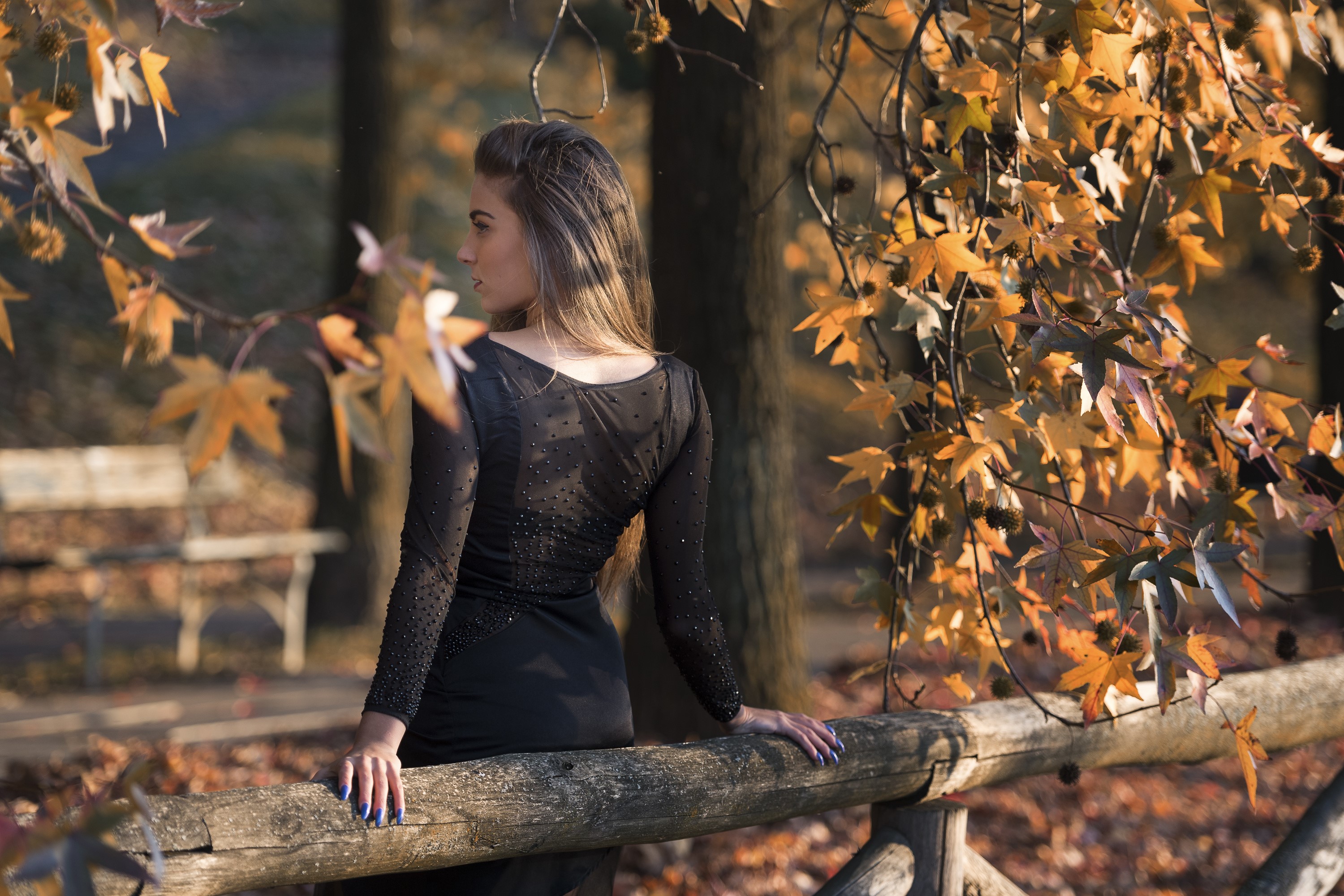 Federica in a black dress in autumn park HD Wallpaper