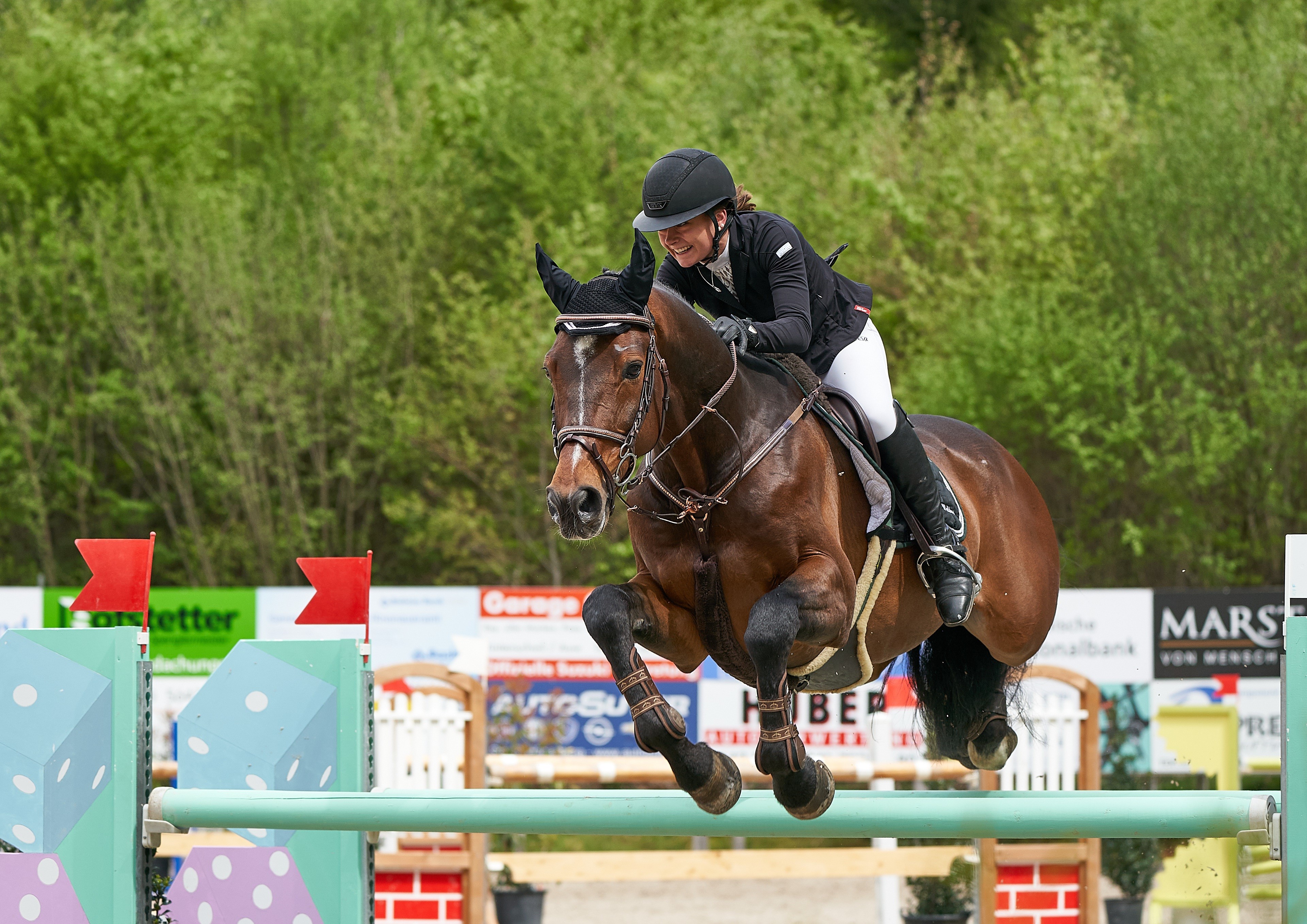 Equestrian sport: Horse and rider jumping over obstacle HD Wallpaper