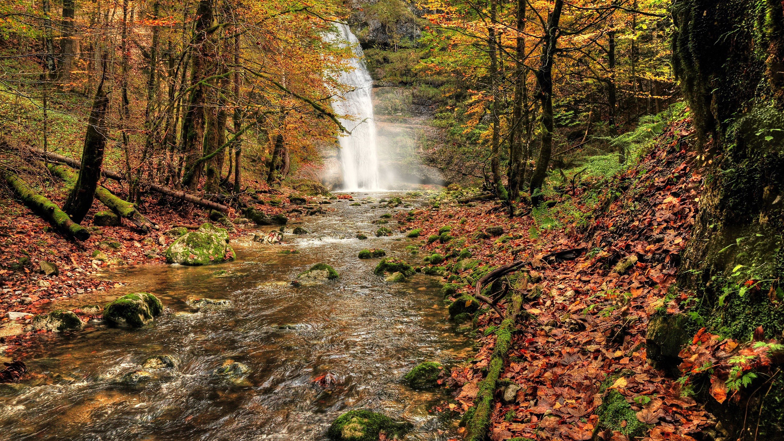 Waterfall in an autumn forest with a stream HD Wallpaper
