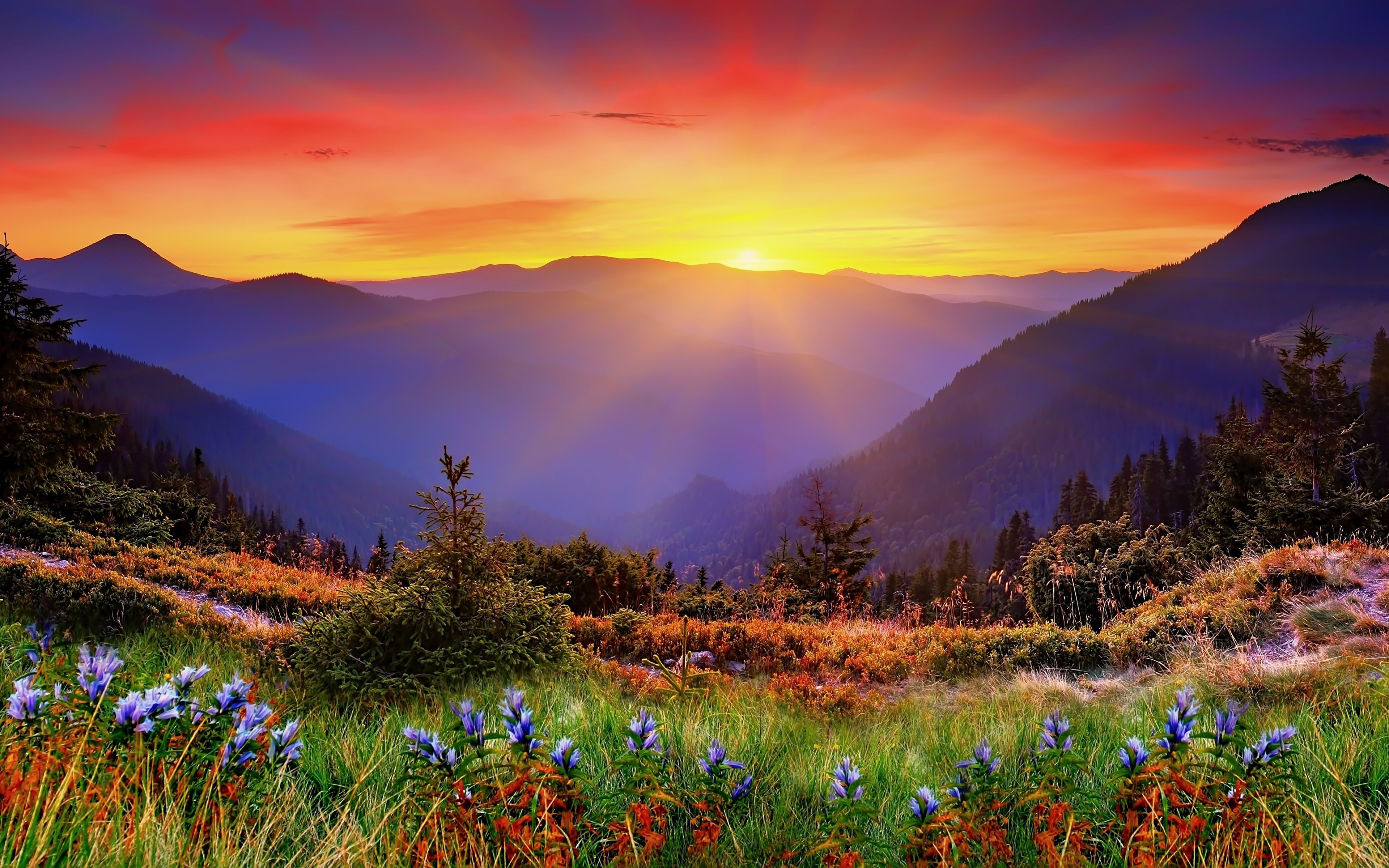 4K Sunrise Over Mountain Scenery HD Wallpaper