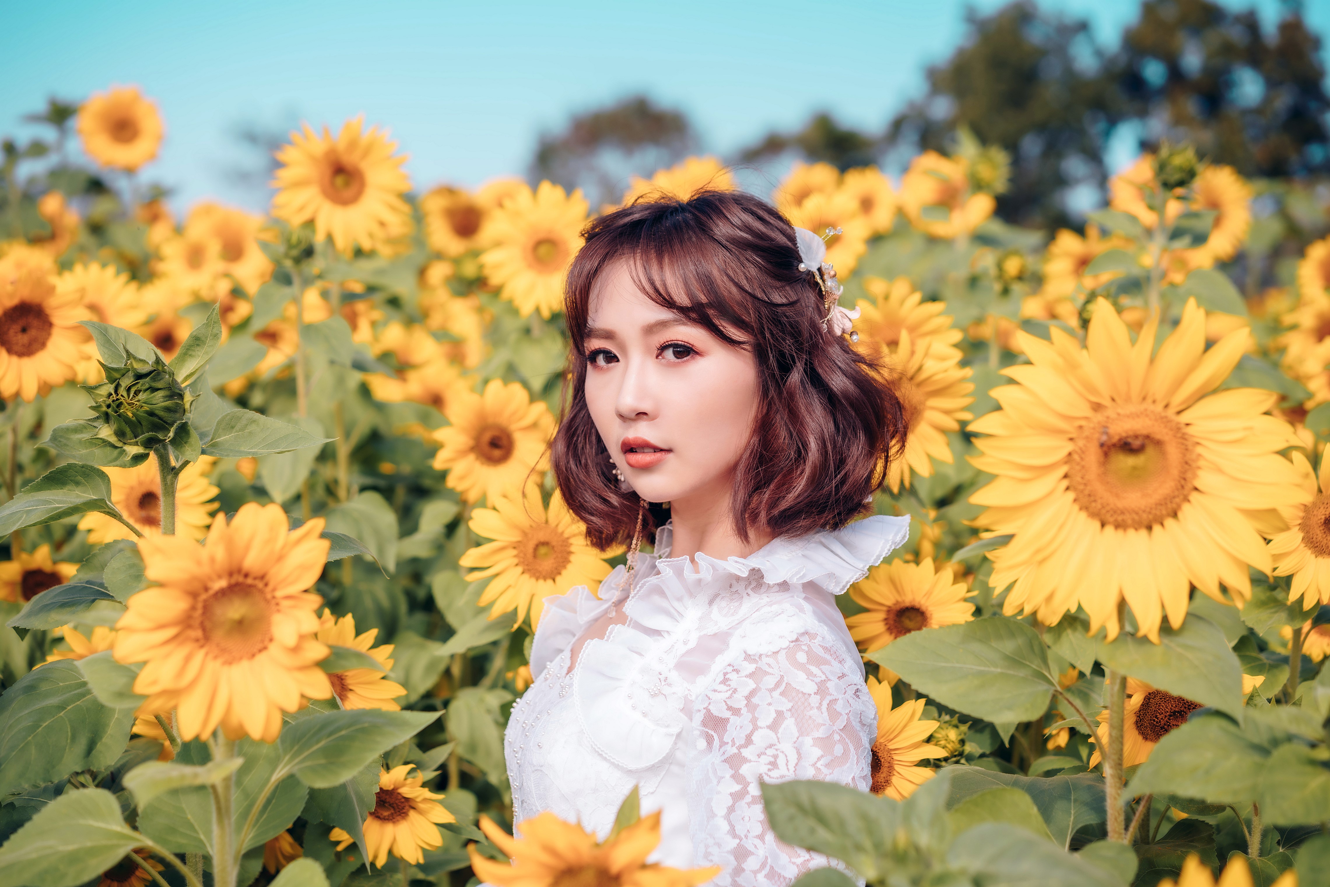 Asian woman with brown hair in a sunflower field HD Wallpaper