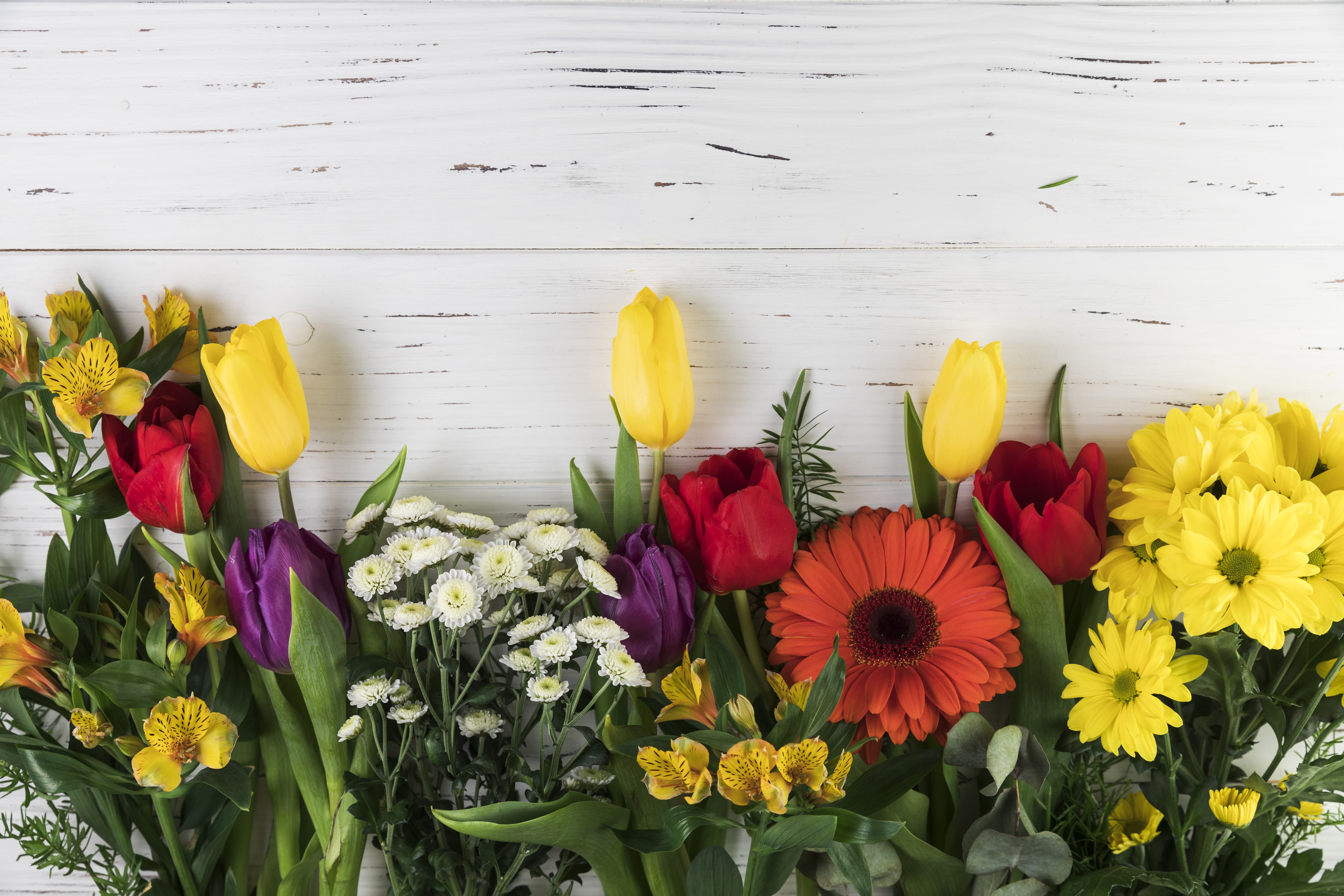 4K Colorful Gerberas and Tulips on Wood HD Wallpaper