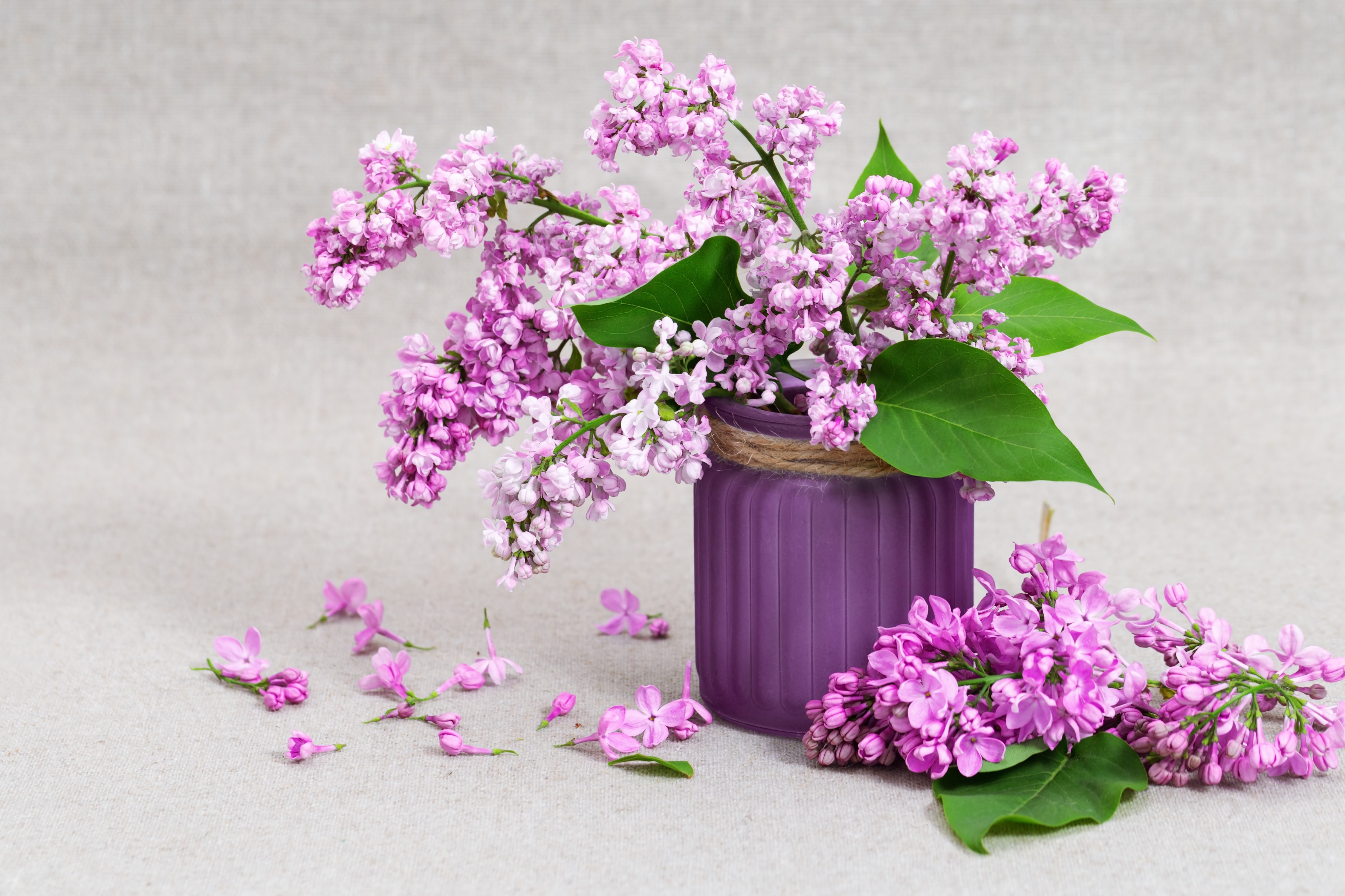 Bouquet of Lilacs in a Purple Vase HD Wallpaper