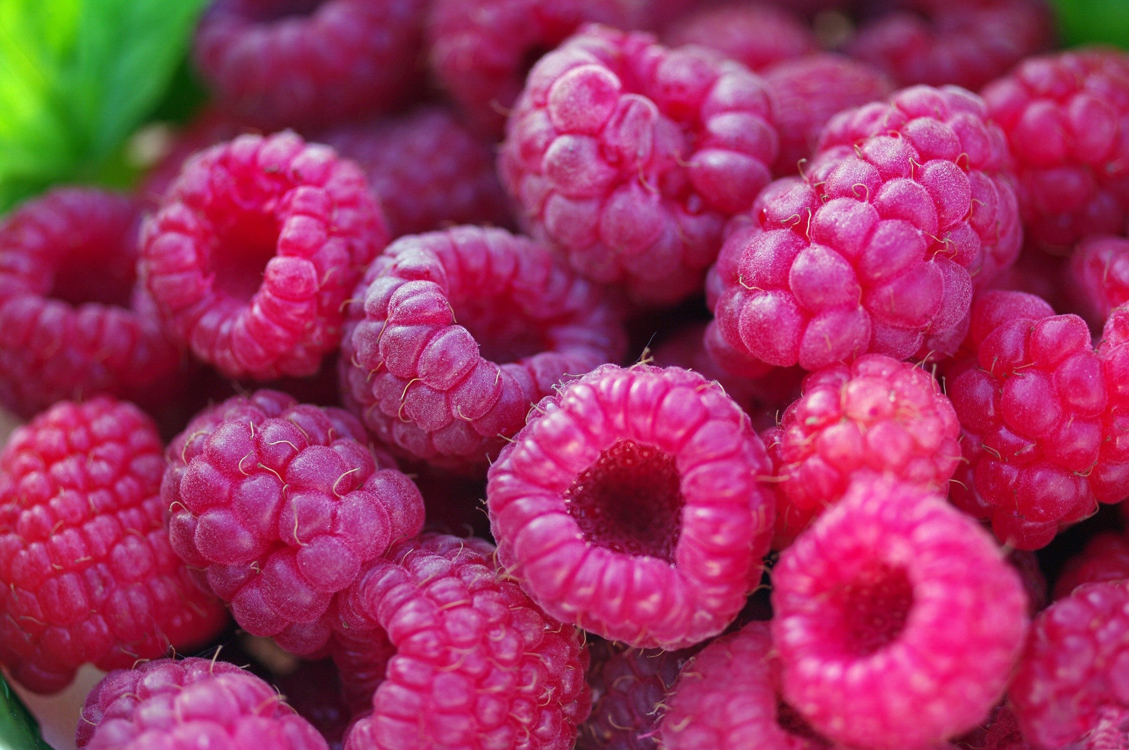 Close-up of fresh raspberries HD Wallpaper