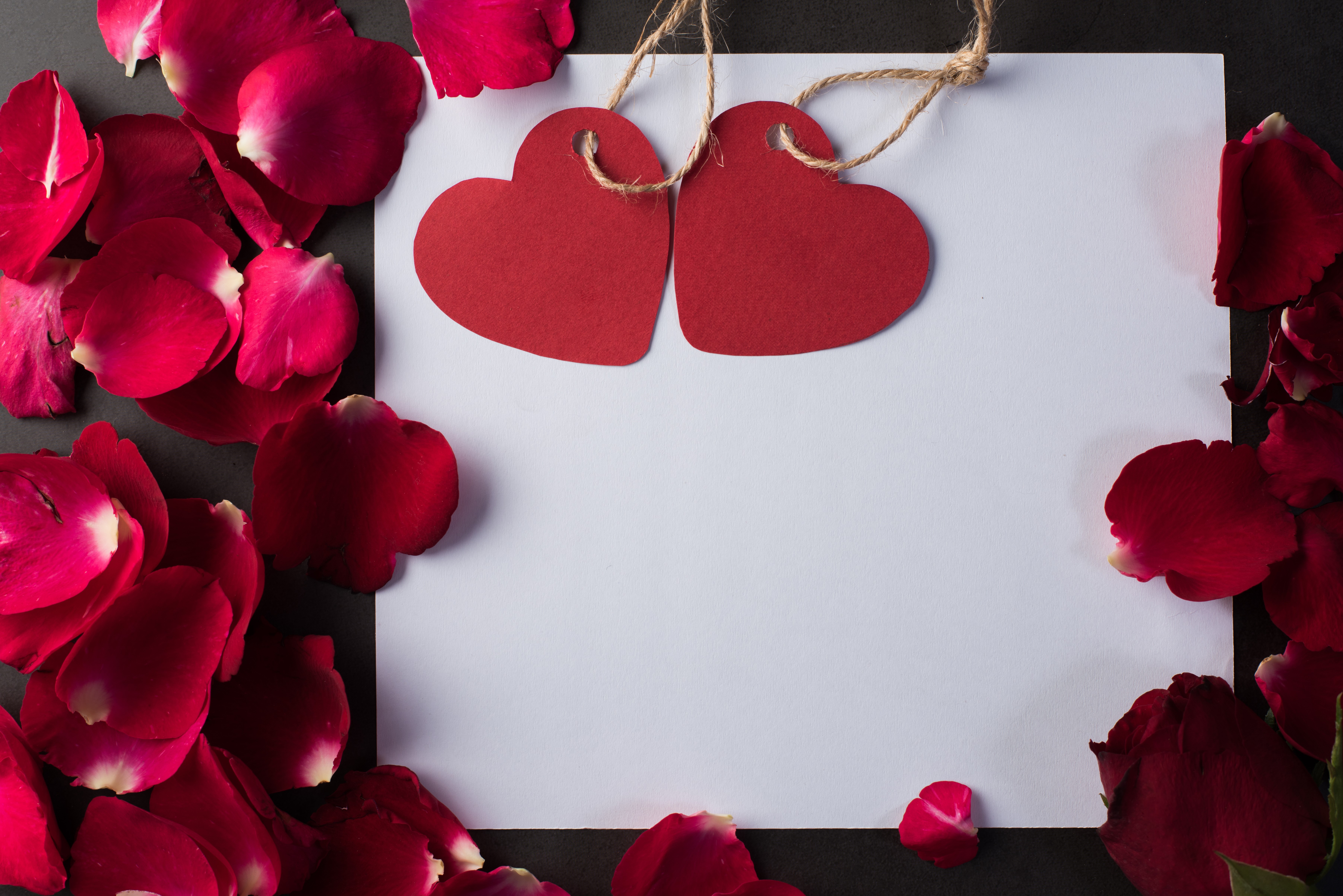 Valentine's Day greeting card template with rose petals HD Wallpaper