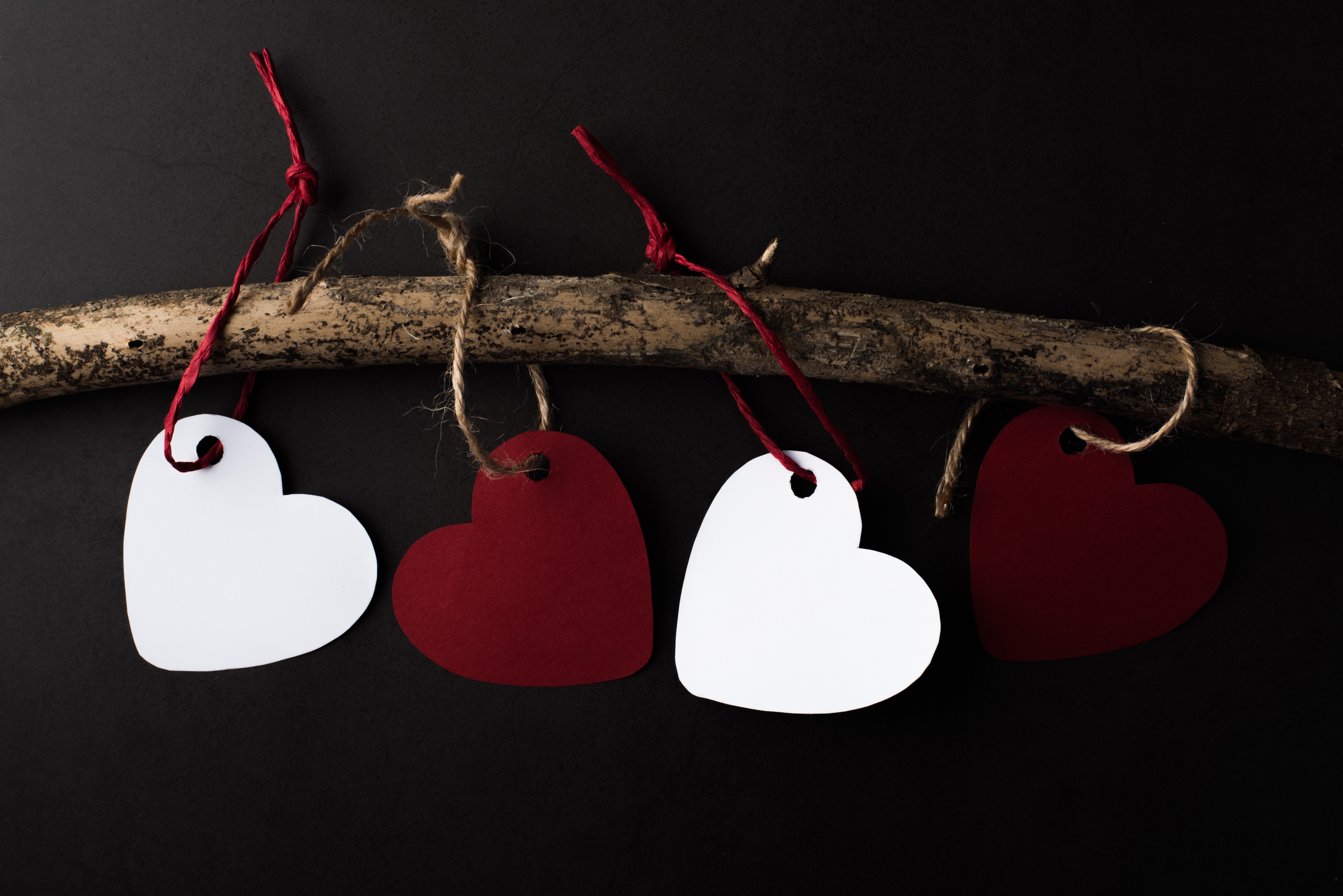 Heart-shaped tags hanging from a branch HD Wallpaper