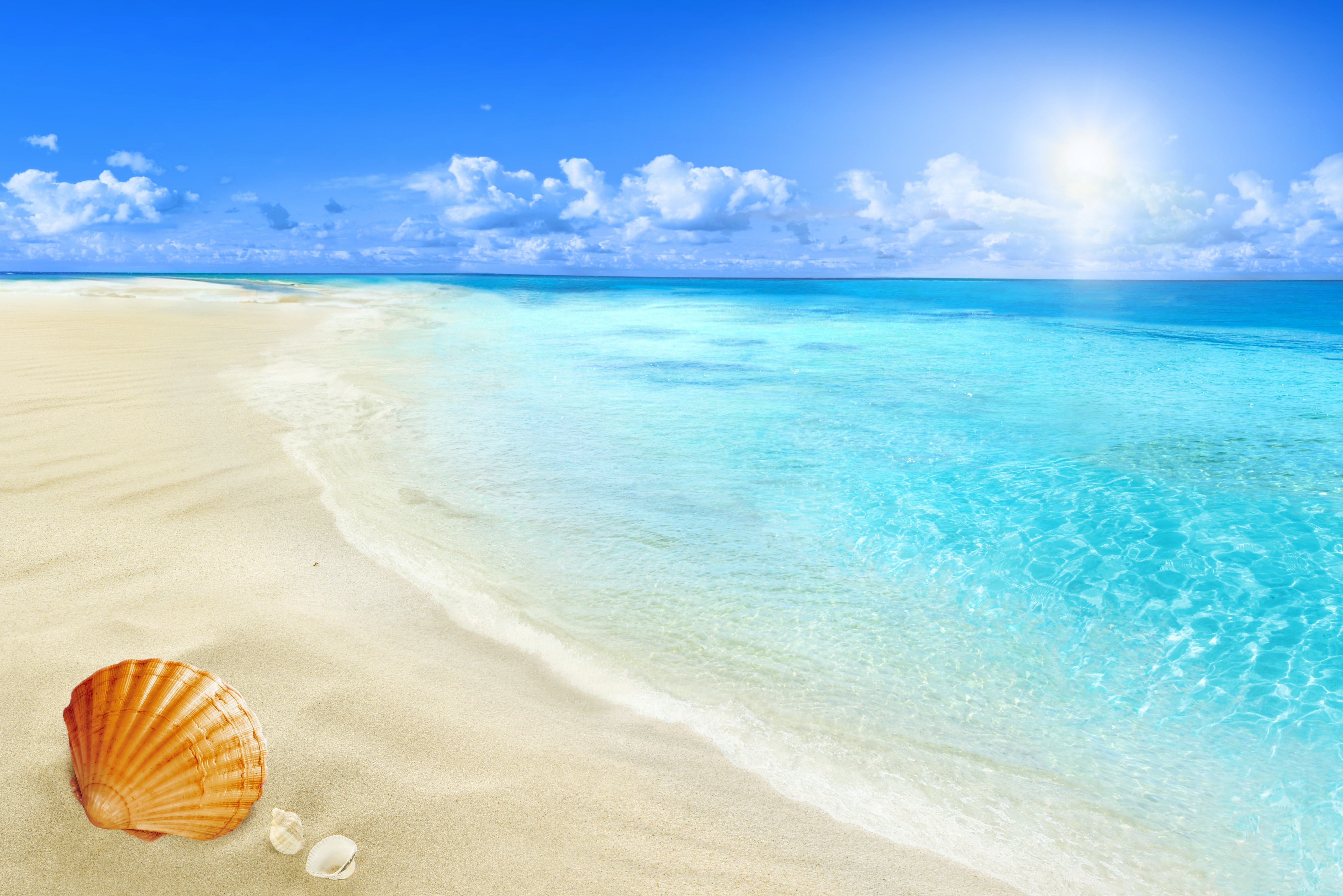 Beach with Seashells and Turquoise Water HD Wallpaper