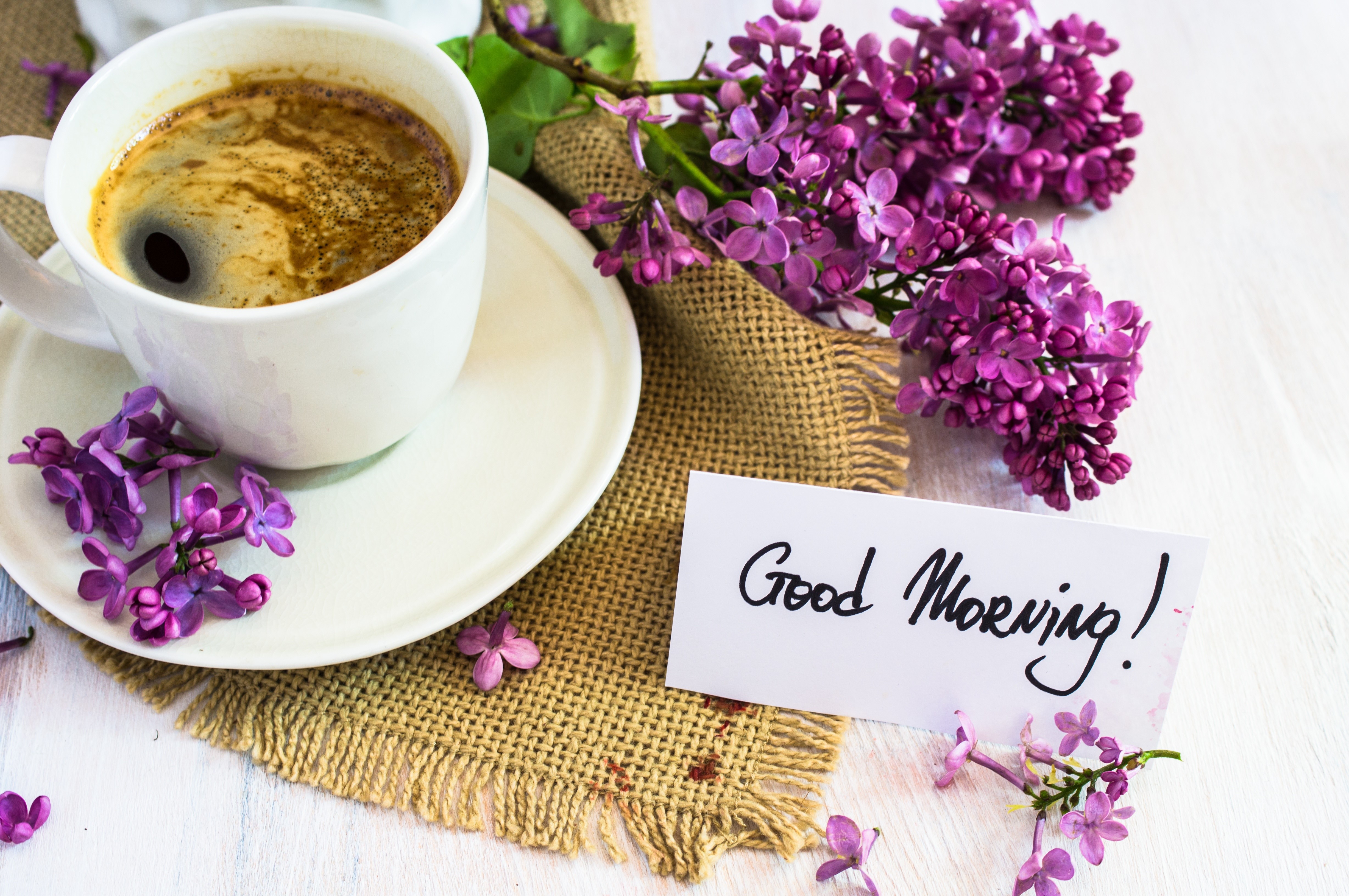 4K Coffee Cup with Lilacs and "Good Morning" Card HD Wallpaper