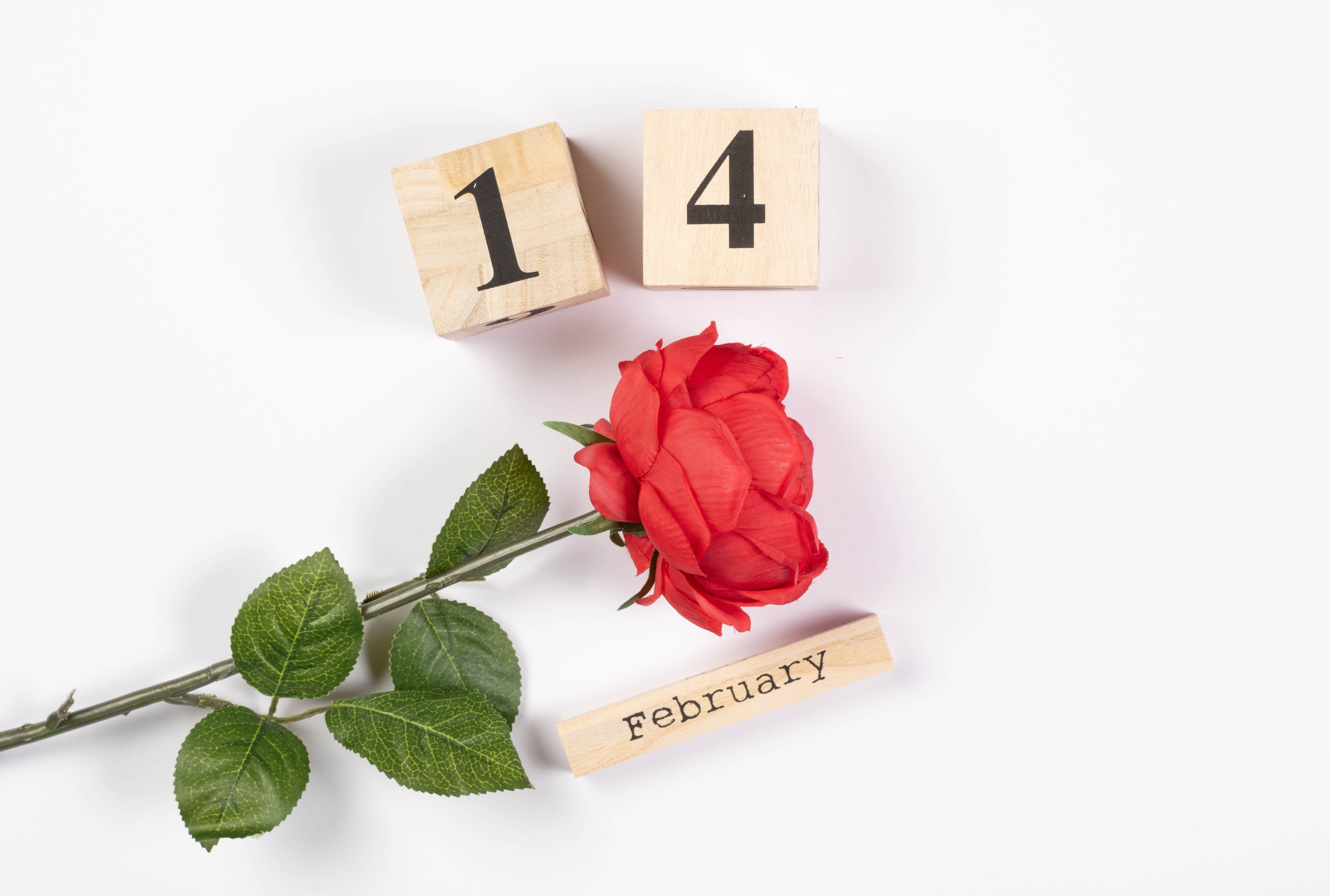 Valentine's Day - February 14th with Red Rose HD Wallpaper