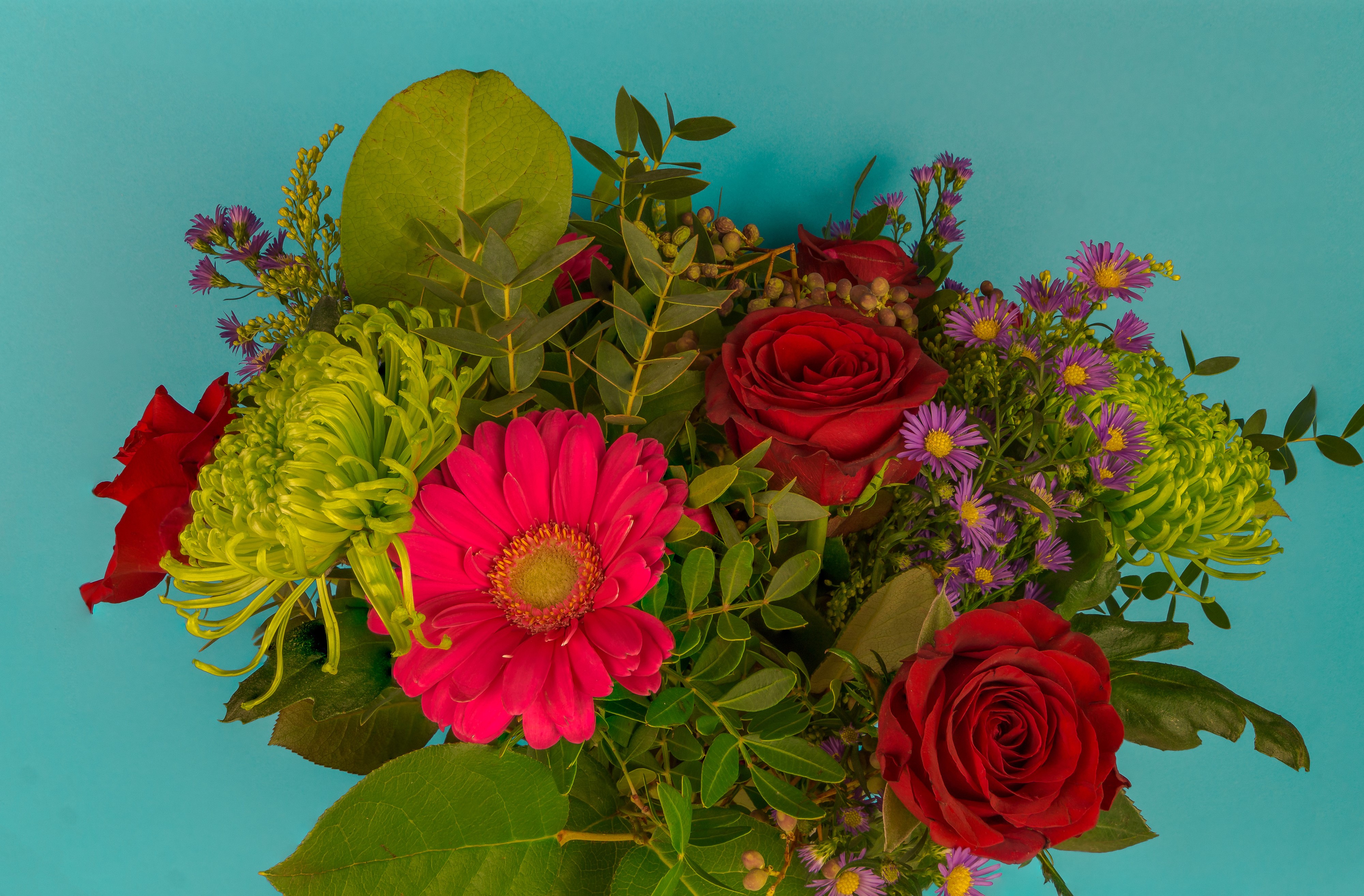 Bouquet of Roses, Gerberas, and Asters on a Blue Background HD Wallpaper