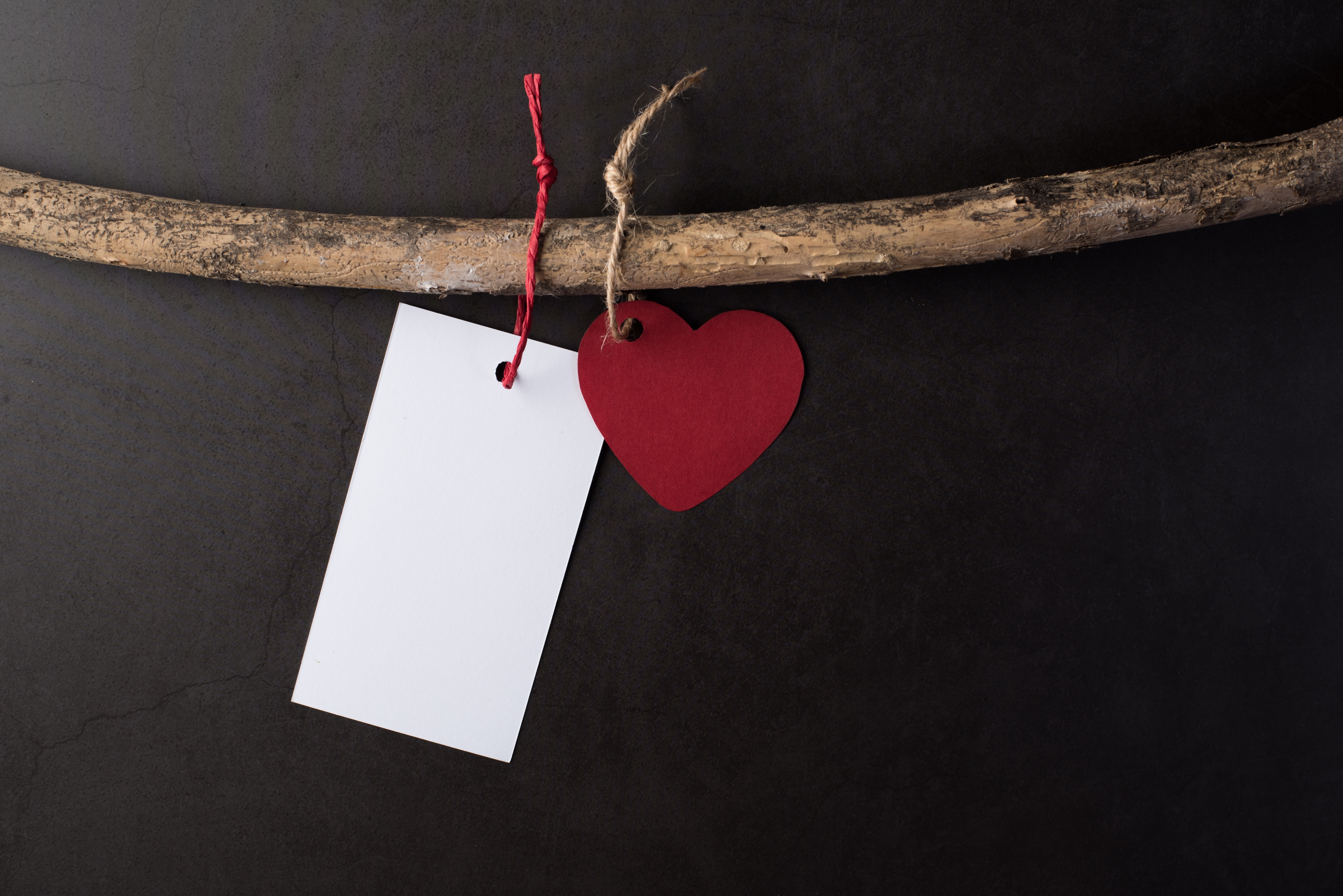 Blank Tag and Red Heart Hanging on Branch HD Wallpaper