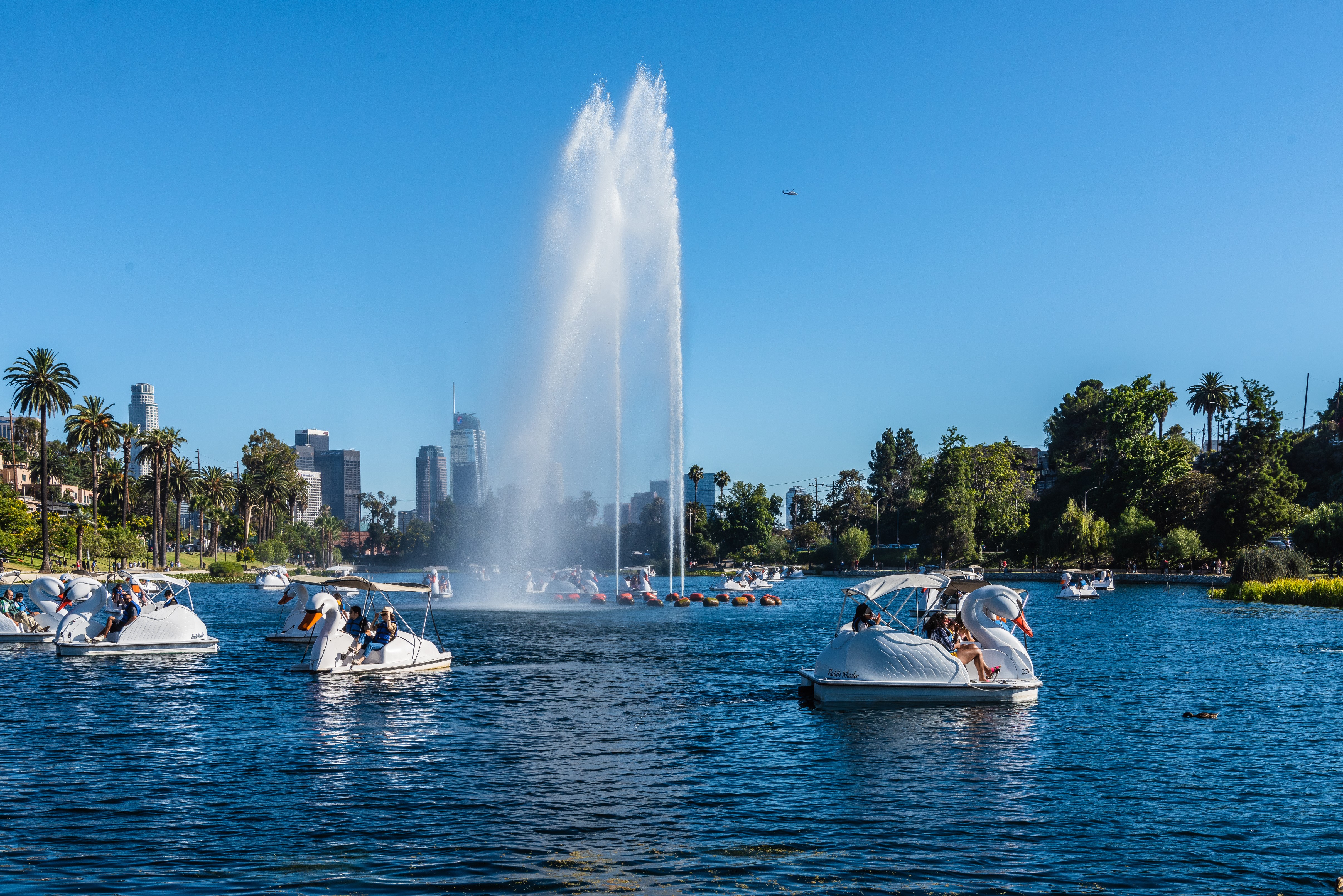 Echo Park Lake with Swan Boats and Los Angeles Skyline HD Wallpaper