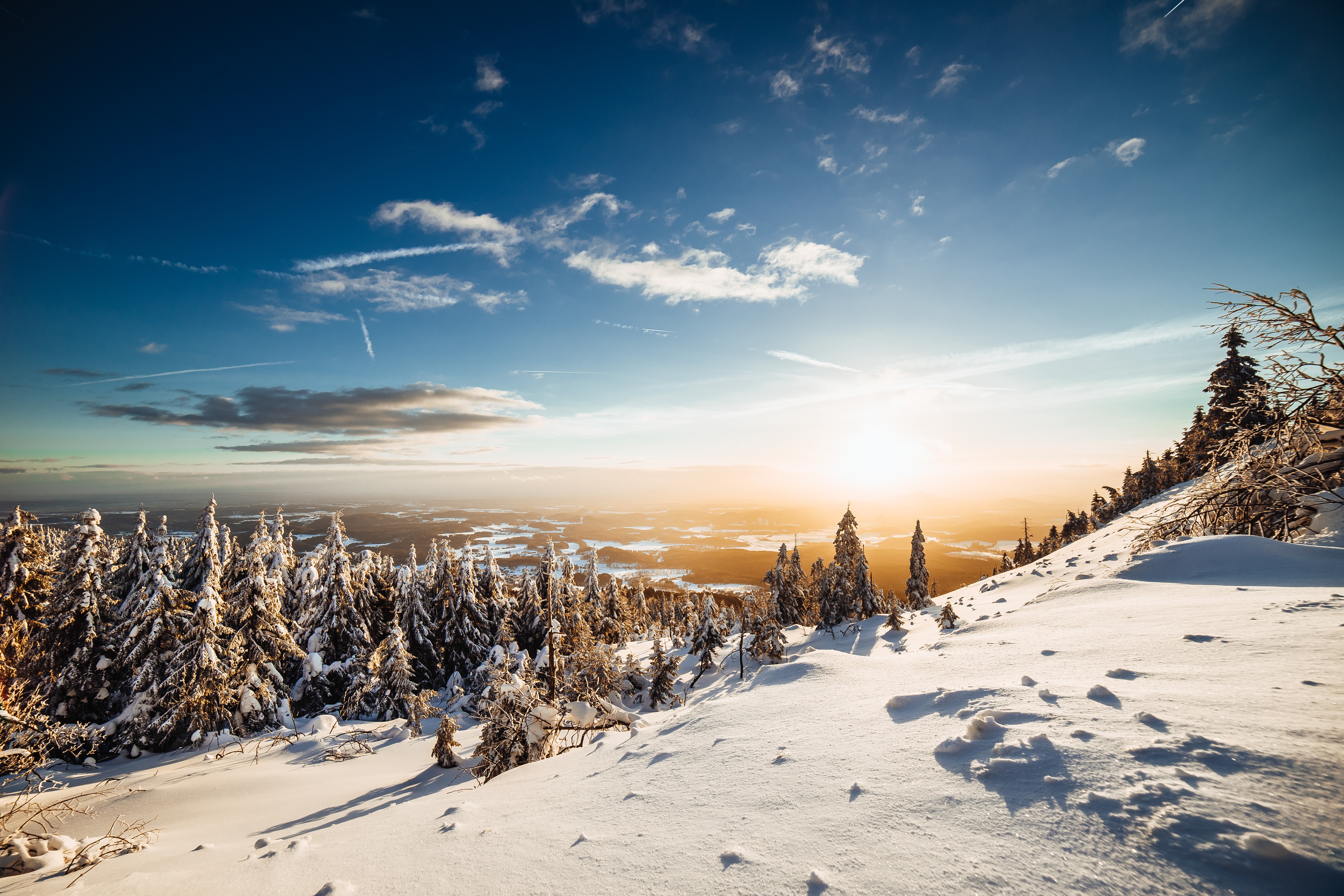 Winter forest scenery with snow and sunset sky HD Wallpaper