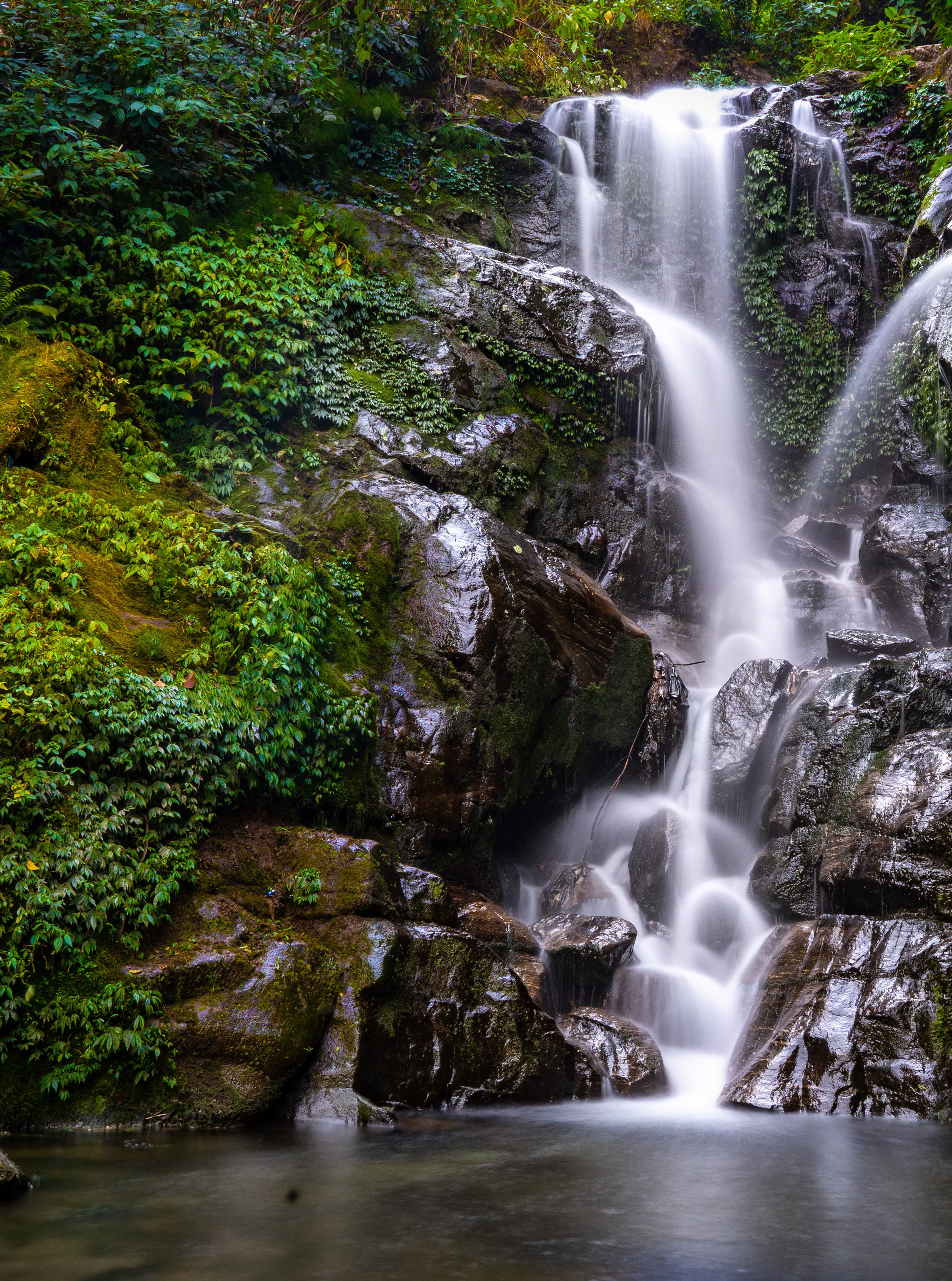 Waterfall cascading over mossy rocks in a forest HD Phone Wallpaper