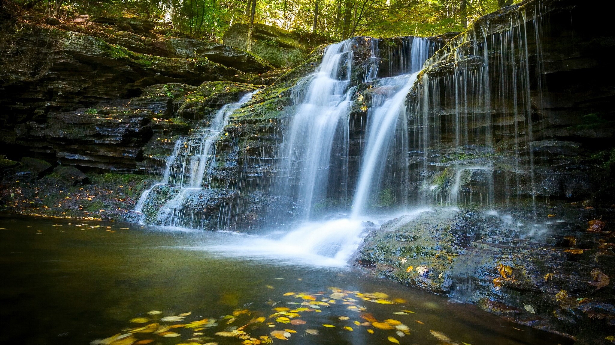 Waterfall cascading over mossy rocks in a forest HD Wallpaper