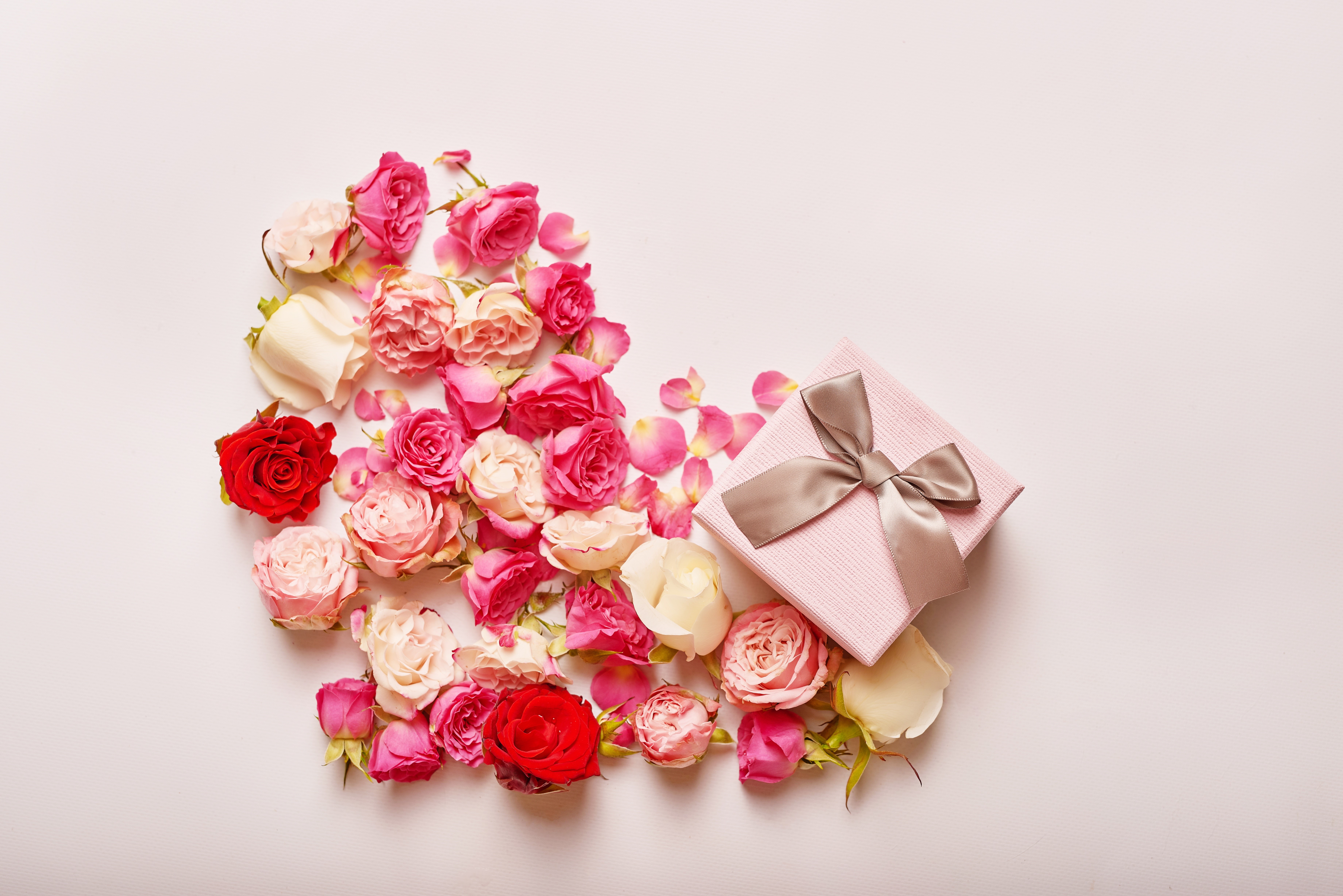 Roses arranged in a heart shape with a gift box HD Wallpaper
