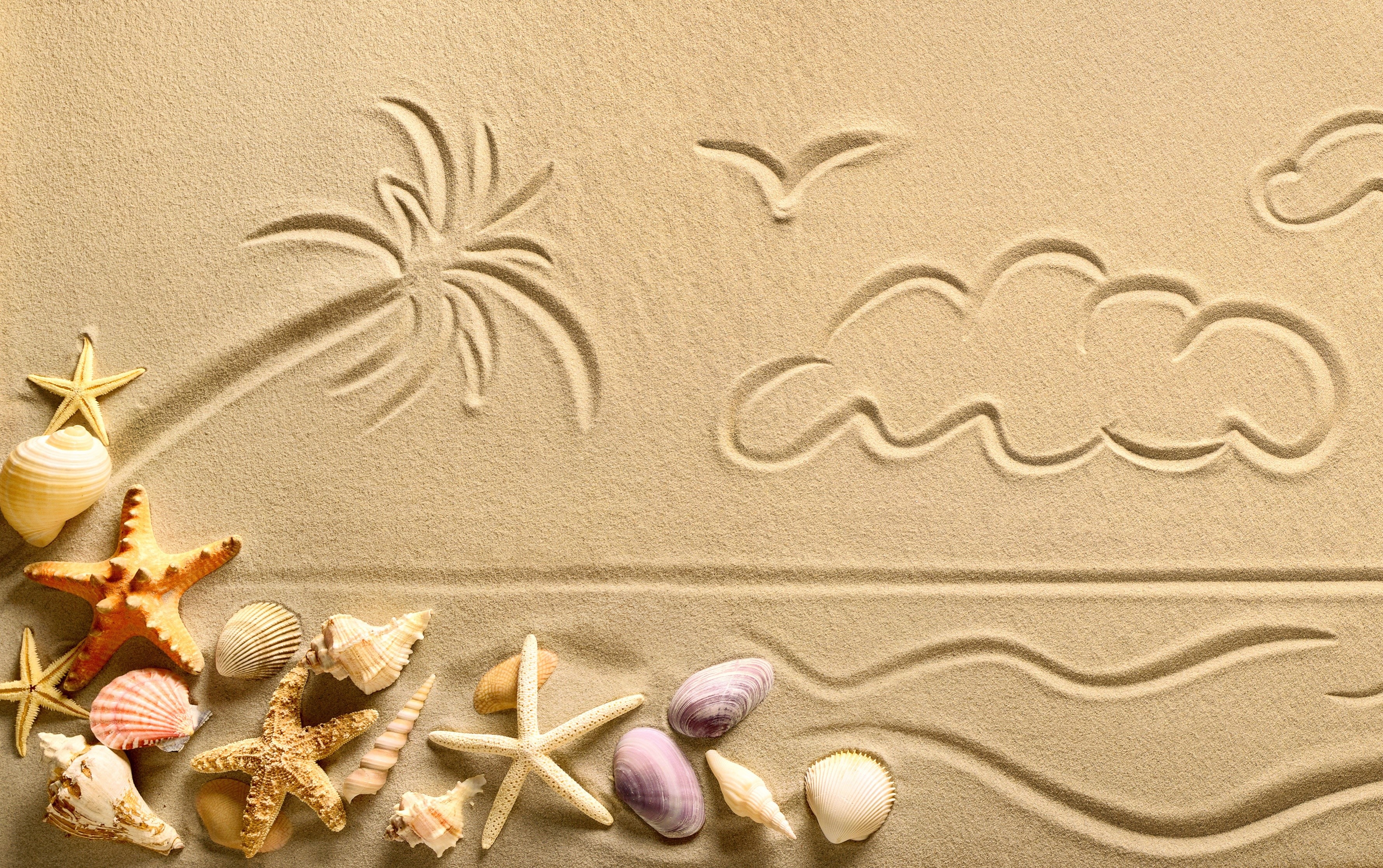 Beach scene with shells and sand drawings HD Wallpaper