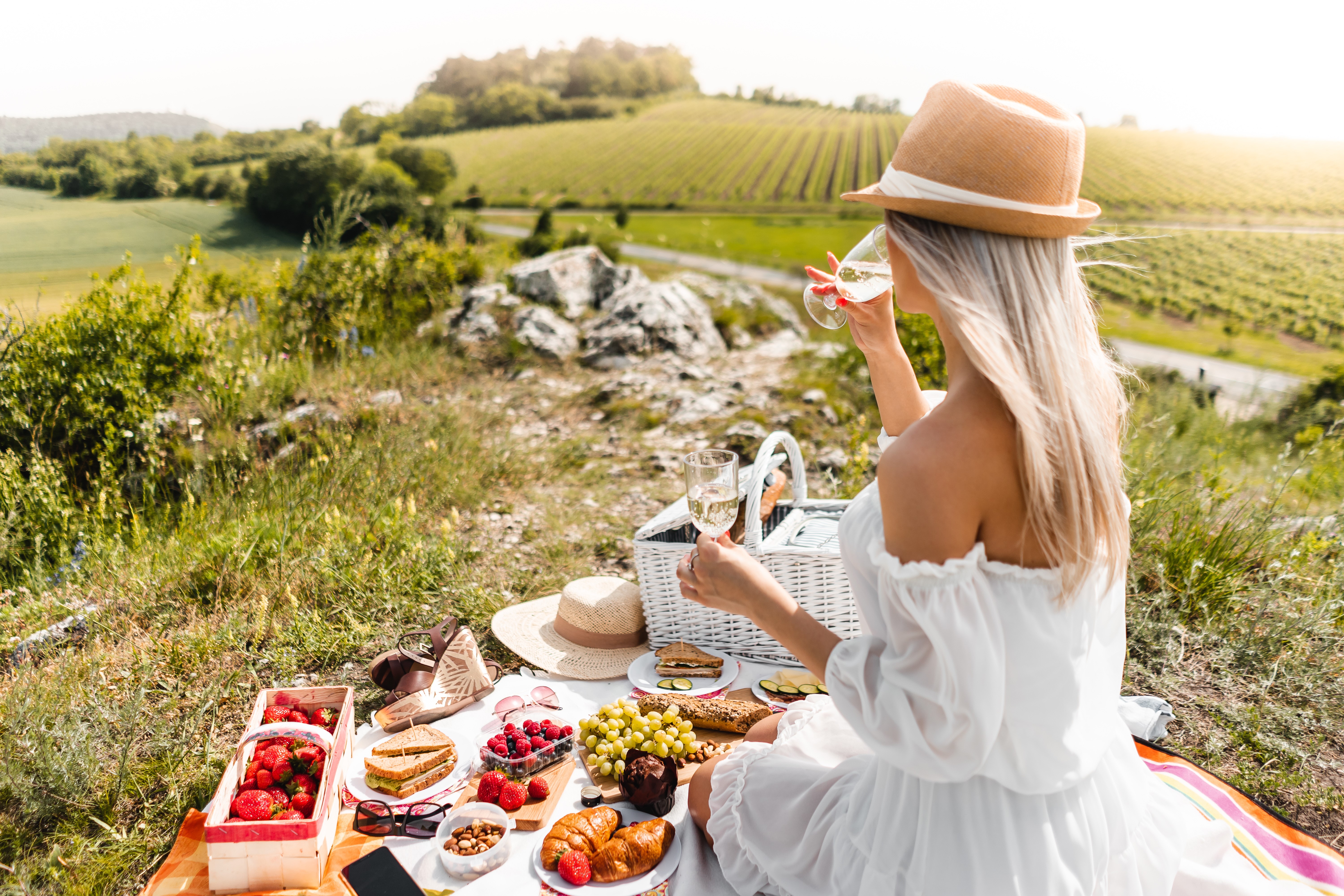 Picnic with blonde girl in hat and dress HD Wallpaper