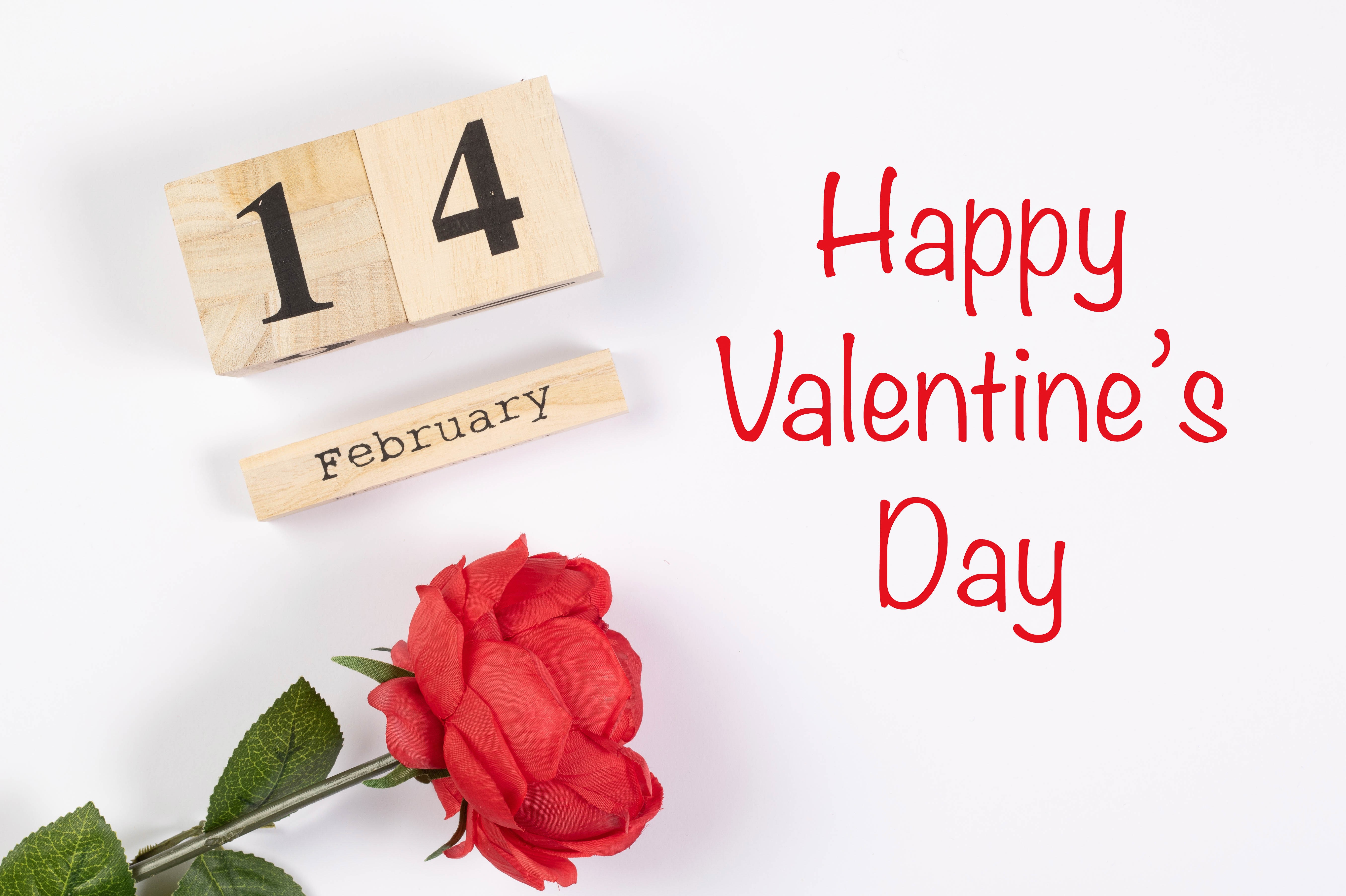 Valentine's Day Calendar with Rose HD Wallpaper