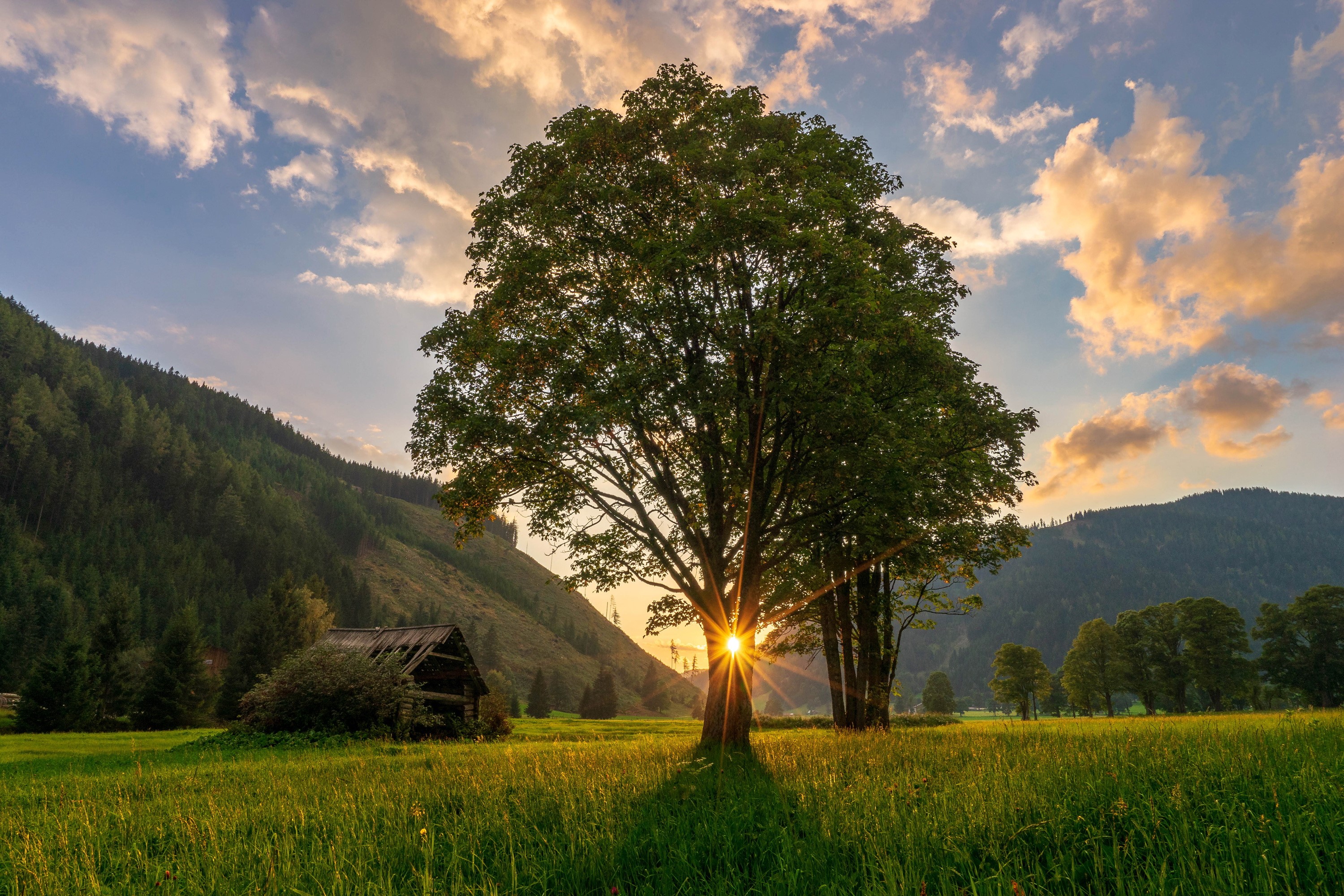 Sunset Over Trees and Mountains in Ramsau Austria HD Wallpaper