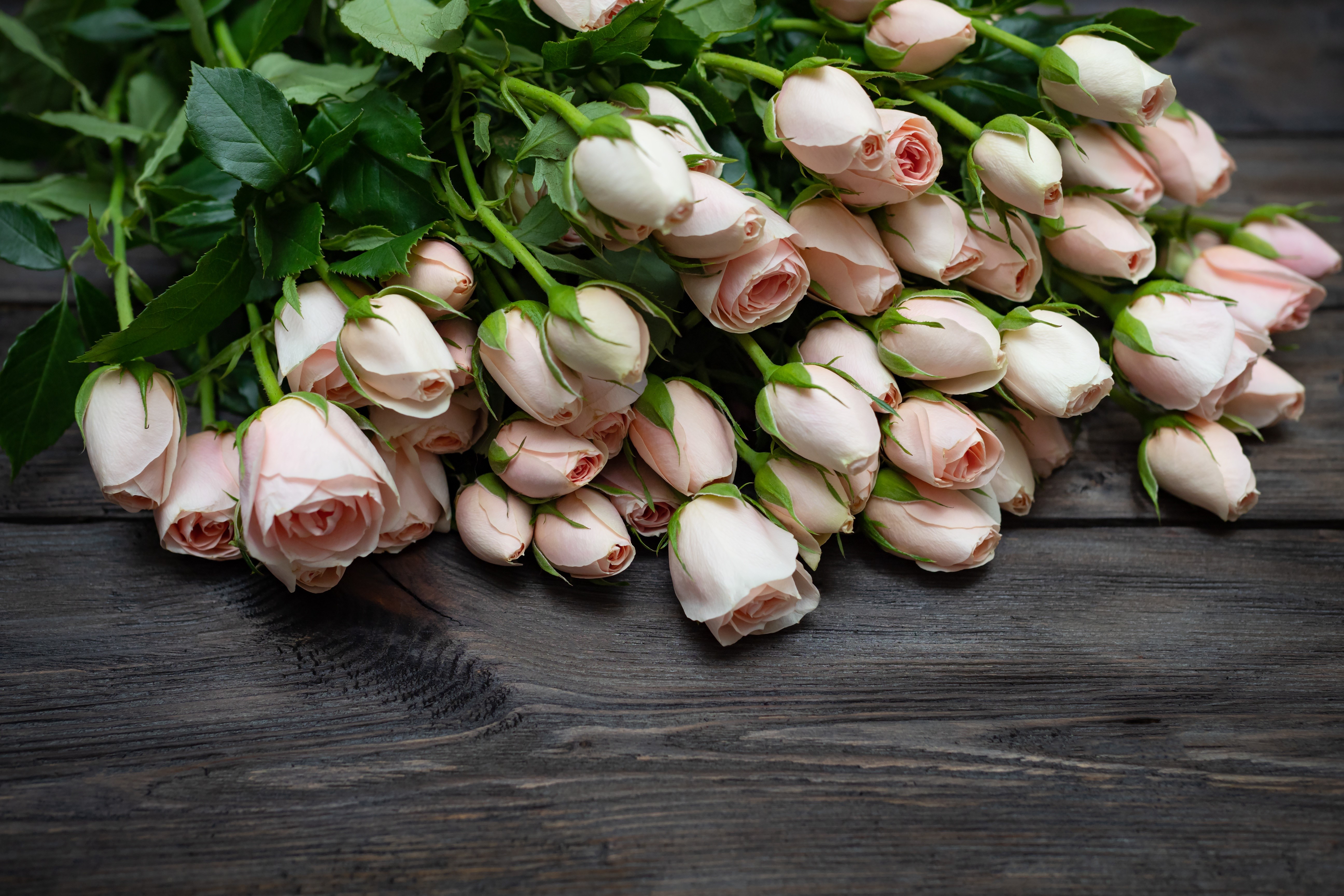 Pink Roses on Dark Wood HD Wallpaper