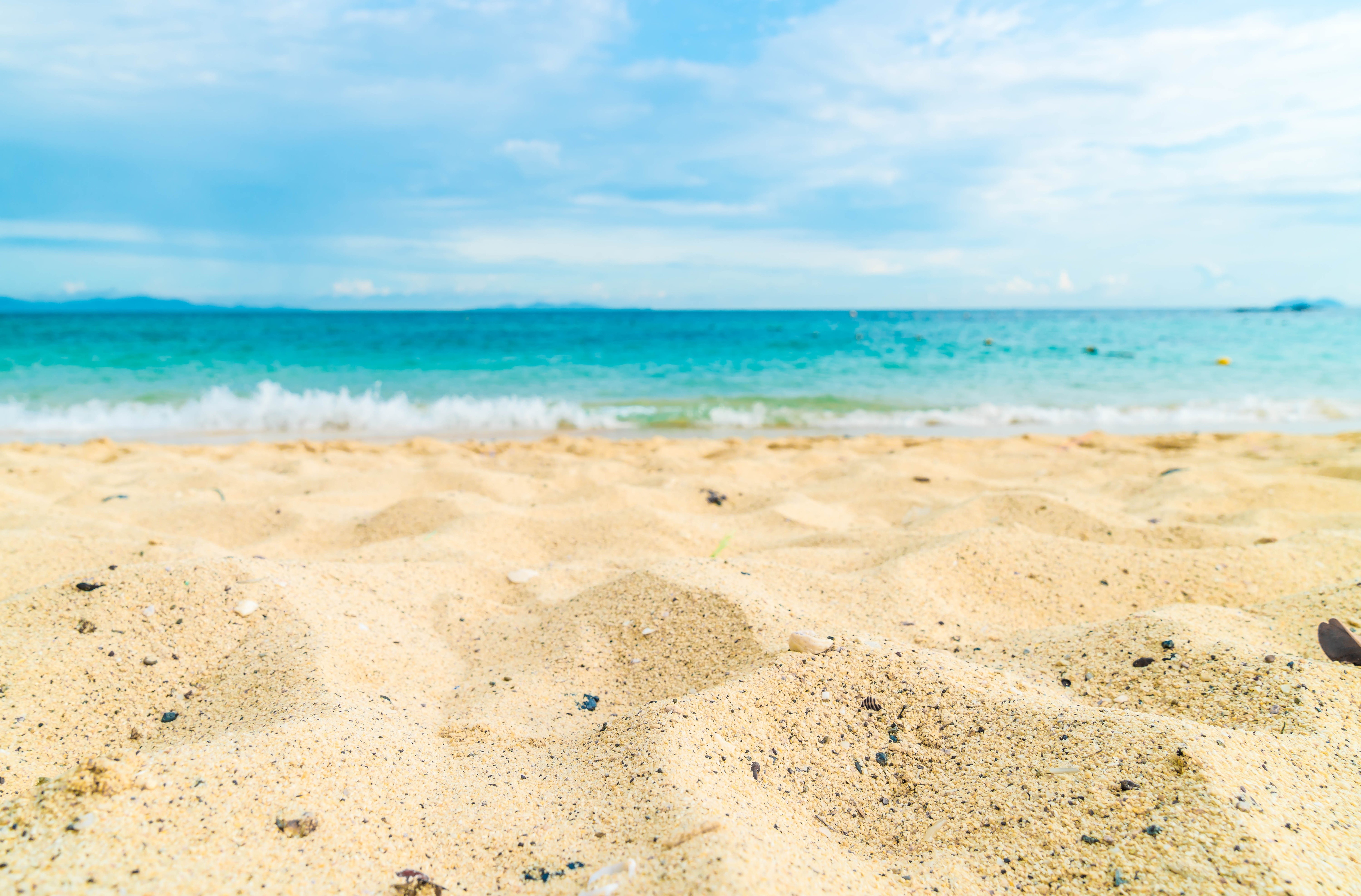 Beach and Sea with Sand in Foreground HD Wallpaper