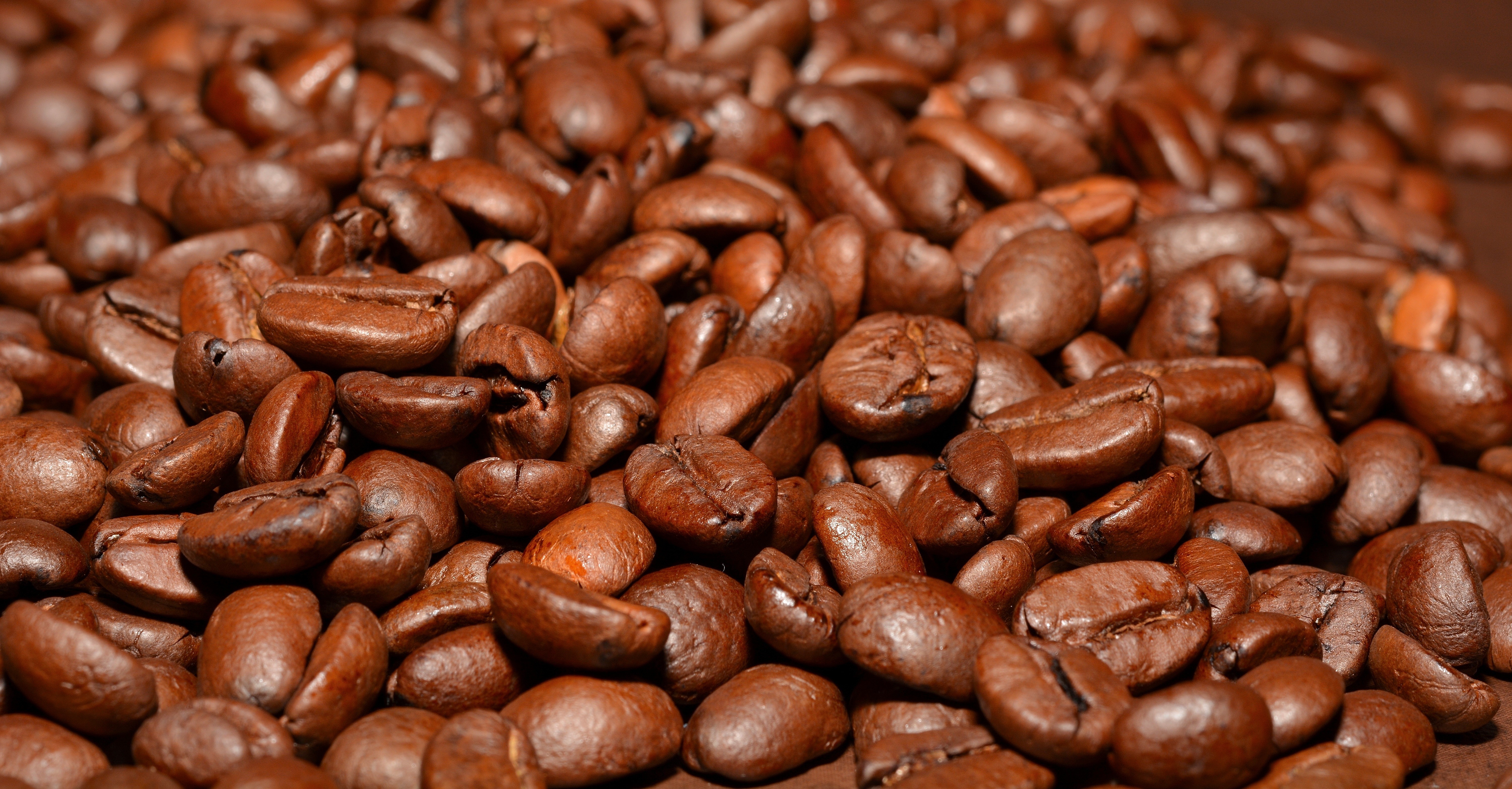 Many coffee beans, closeup HD Wallpaper