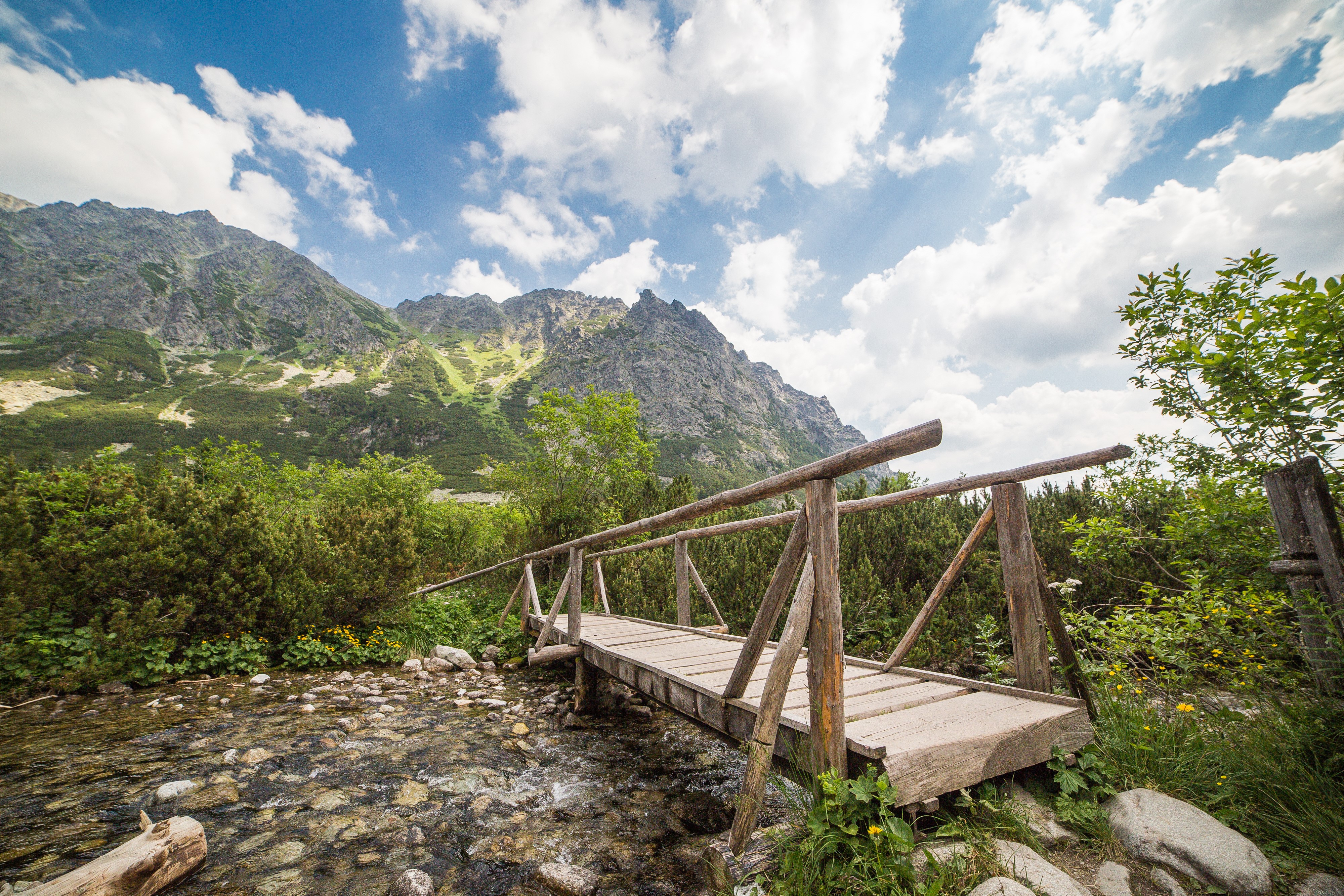 Wooden bridge over a river in Tatras Mountains, Slovakia HD Wallpaper