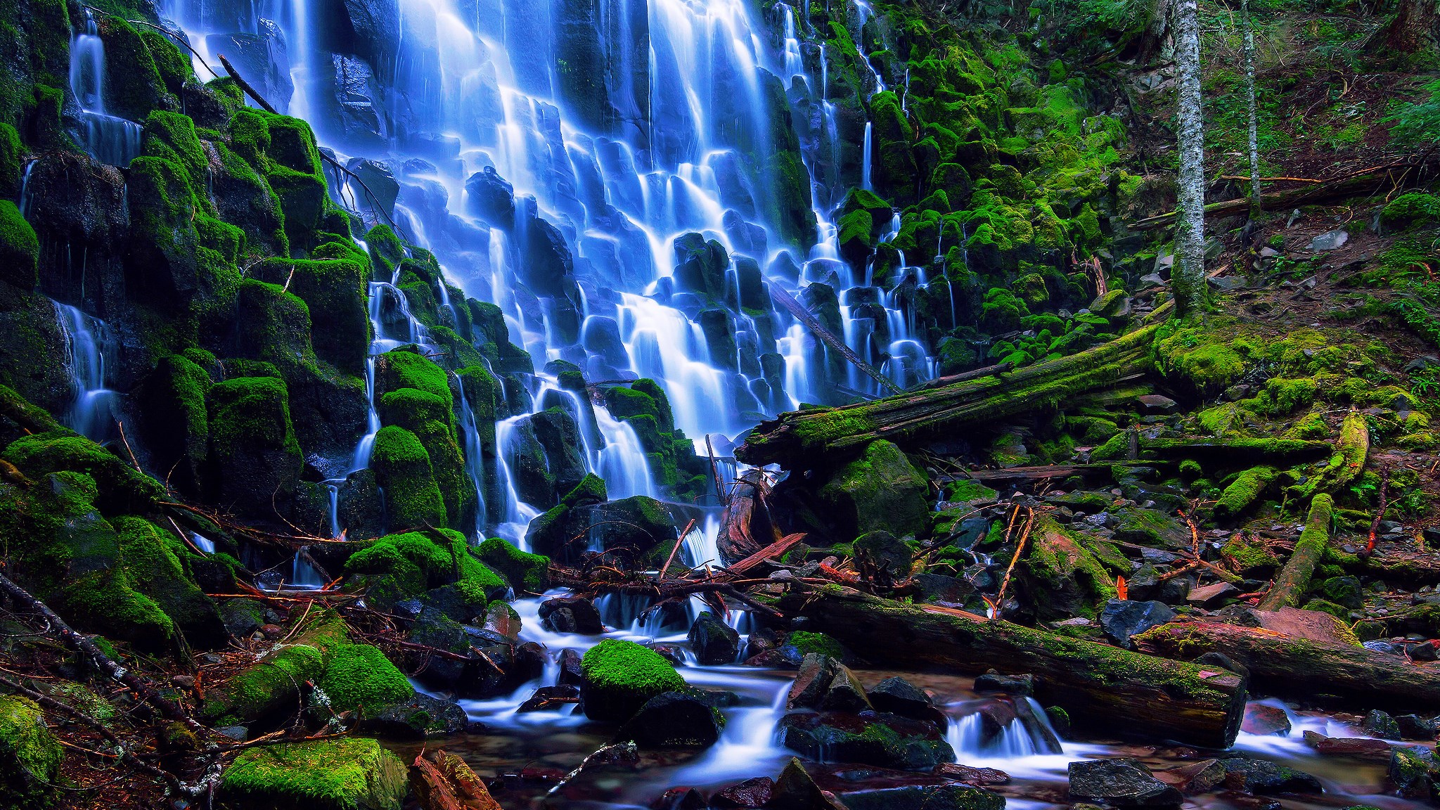 Moss-covered rocks with a cascading waterfall in a forest HD Wallpaper