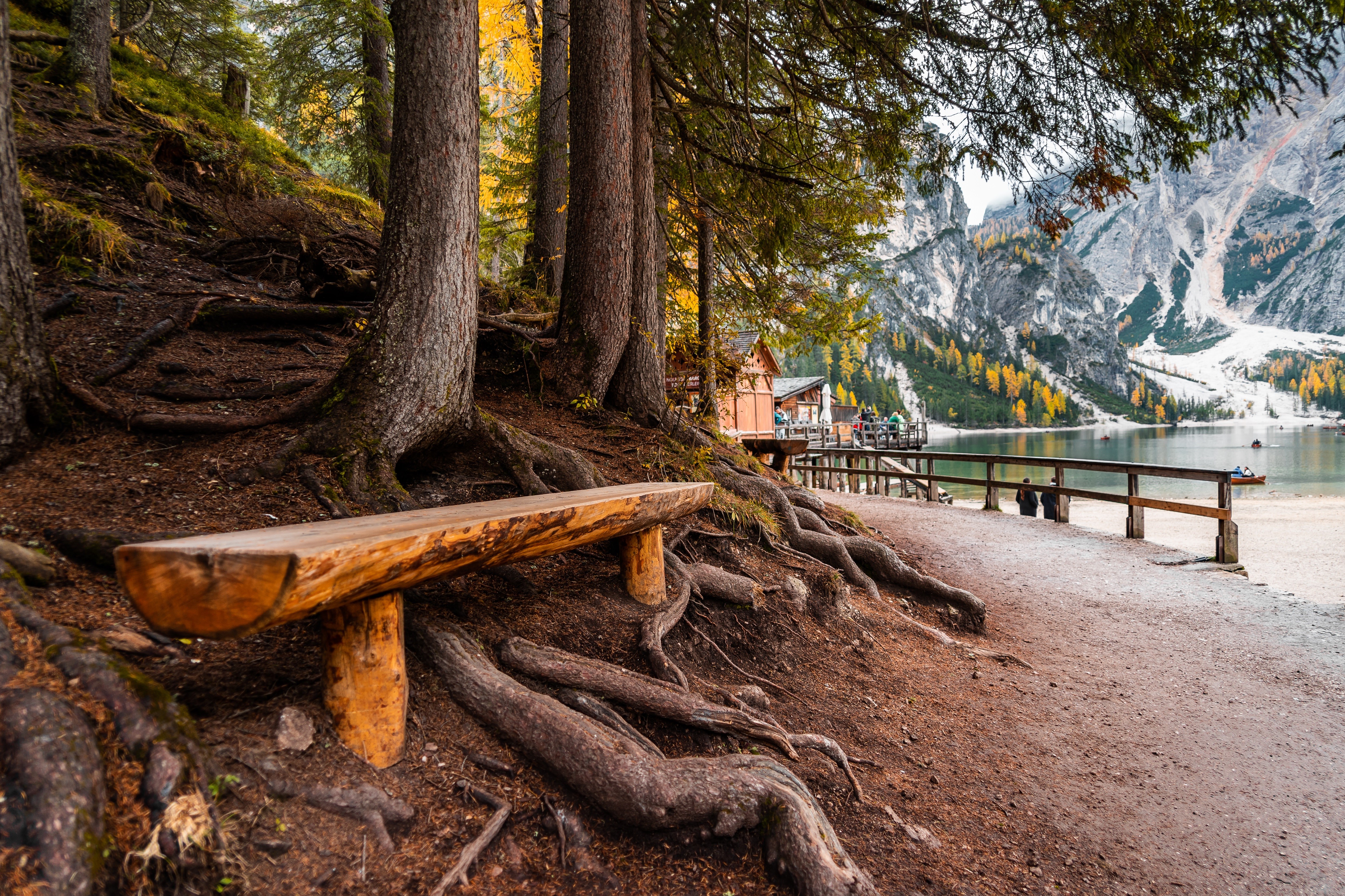 Bench by Lake Braies in Italy HD Wallpaper
