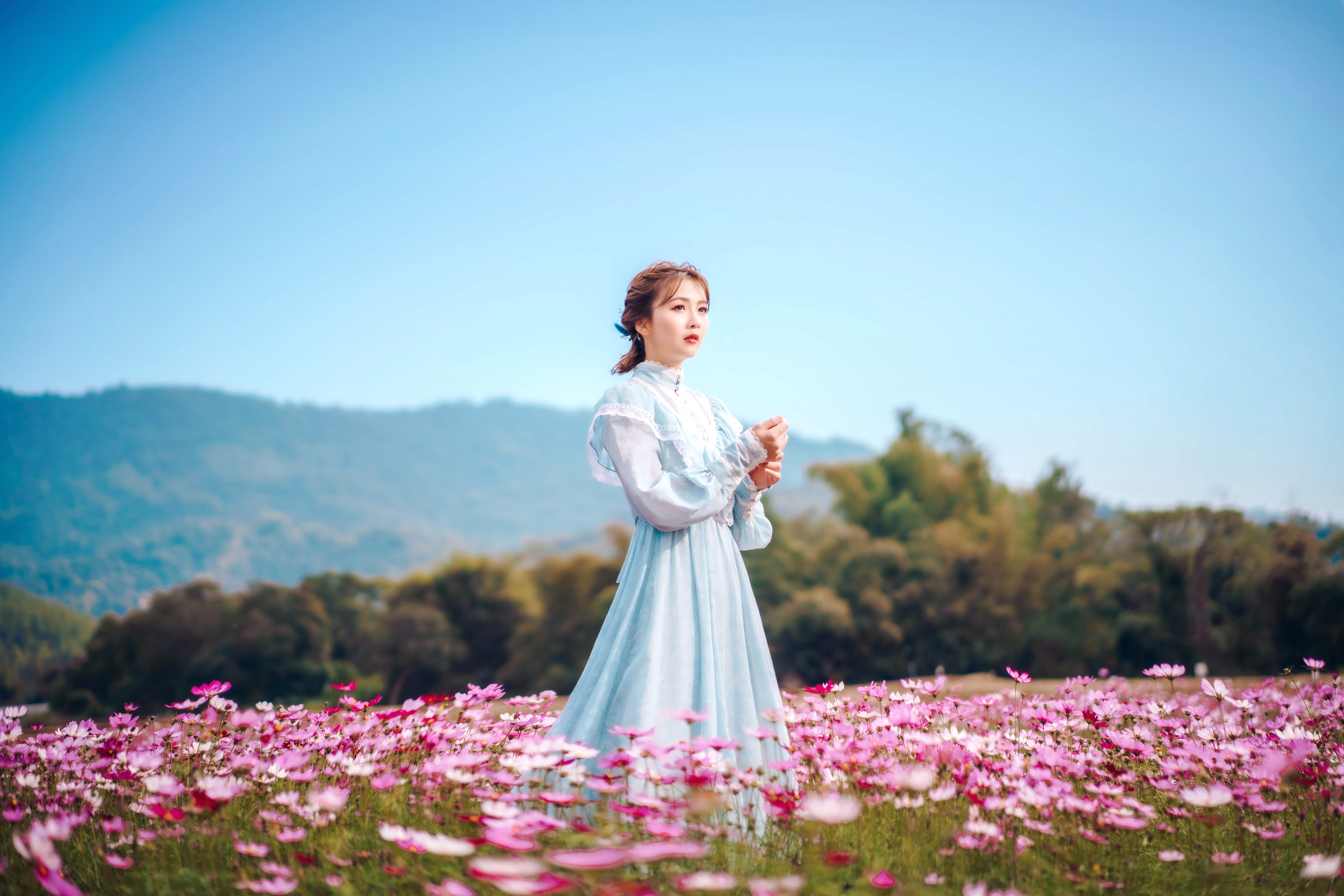 Asian woman in a blue dress in a flower field HD Wallpaper