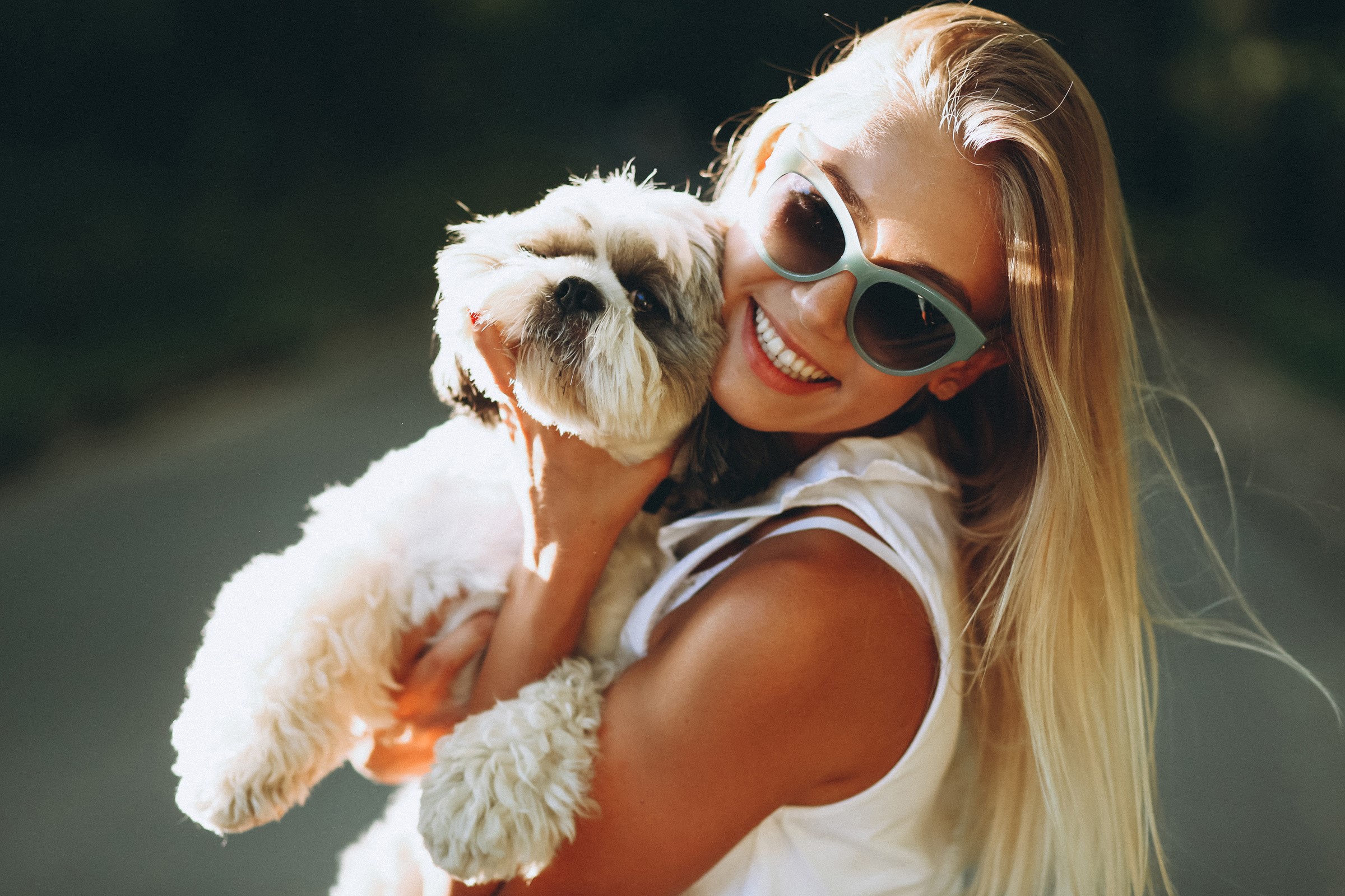 Blonde girl holding a shih tzu puppy HD Wallpaper